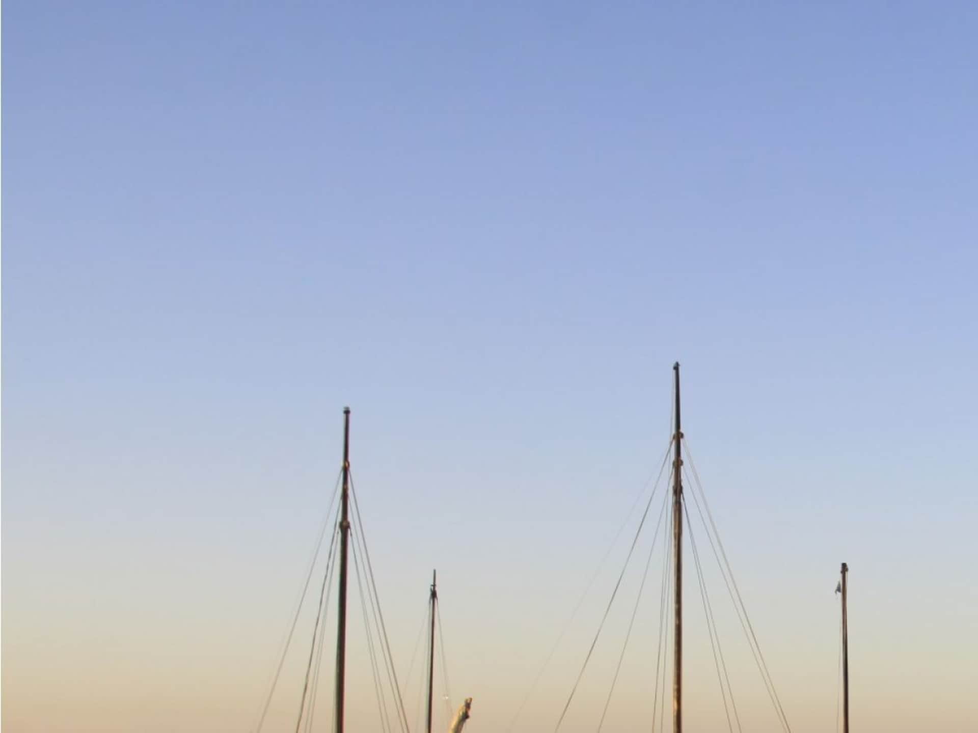 210030 - foto 19