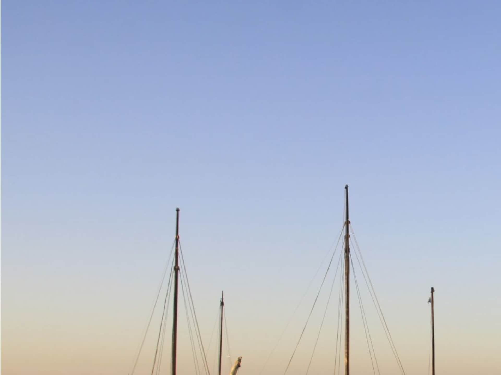 210032 - foto 19