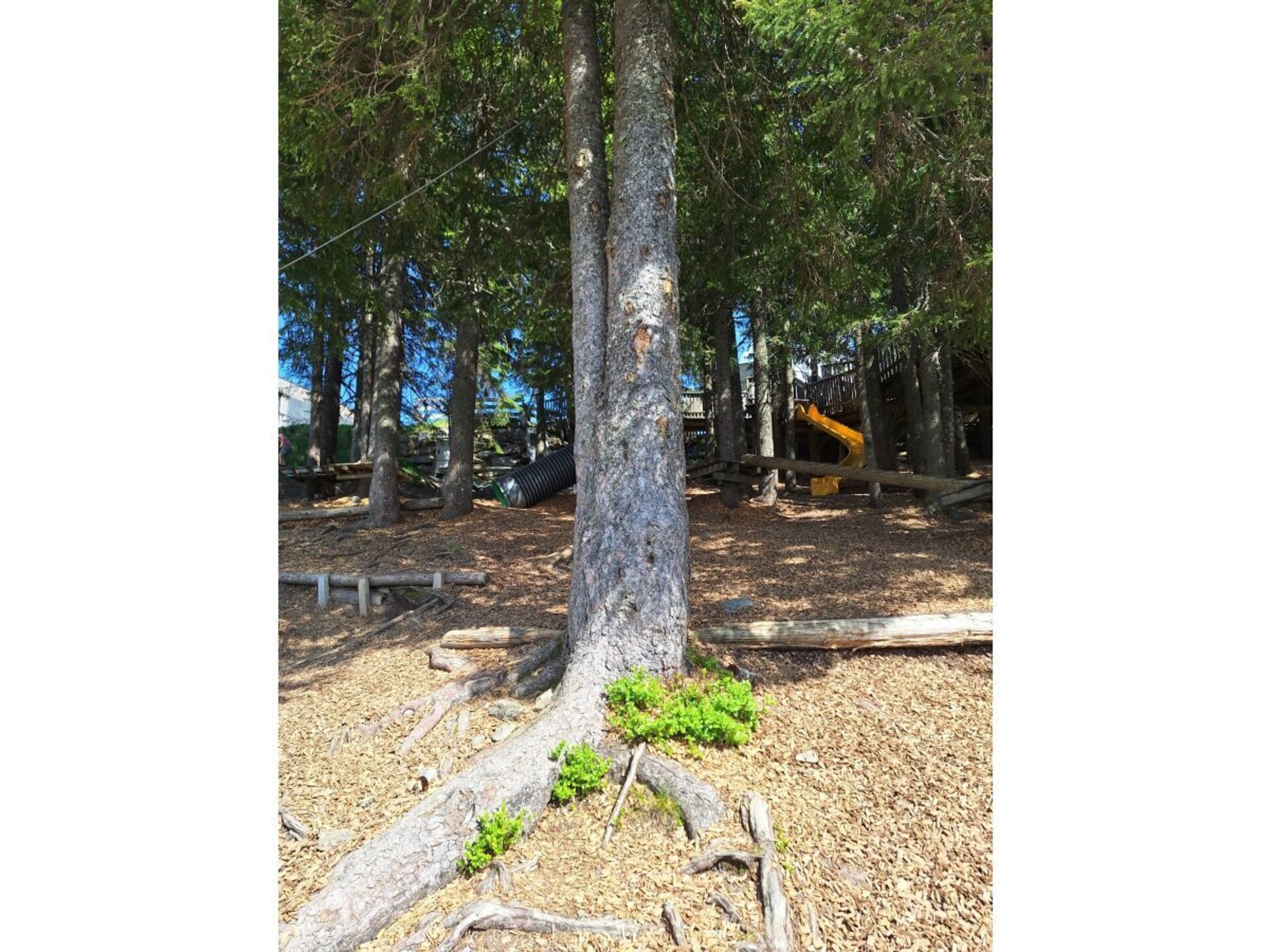 28894 - foto 34
