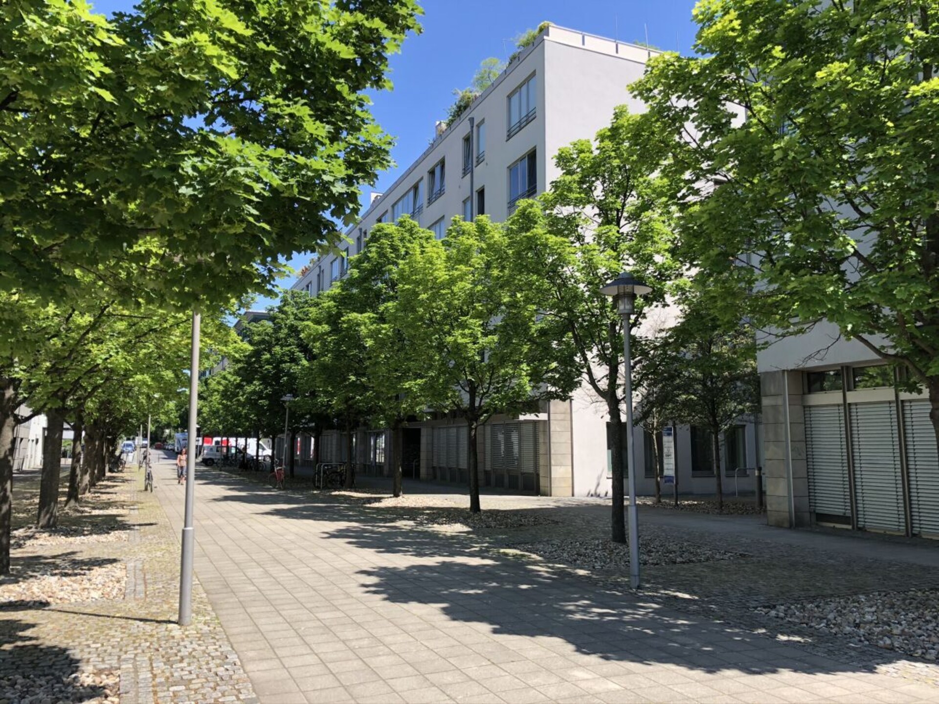 128479 - foto 33