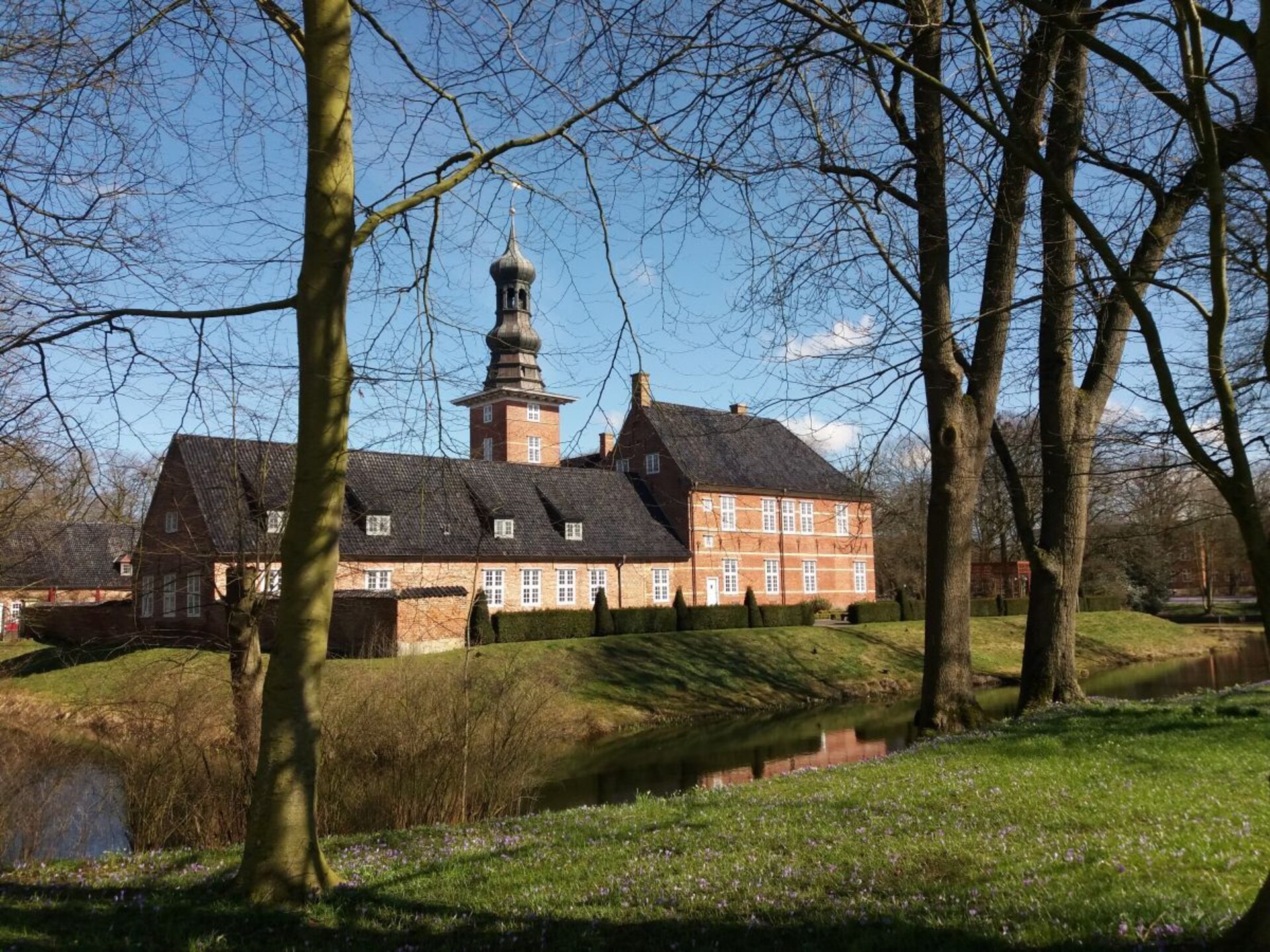 181194 - foto 21