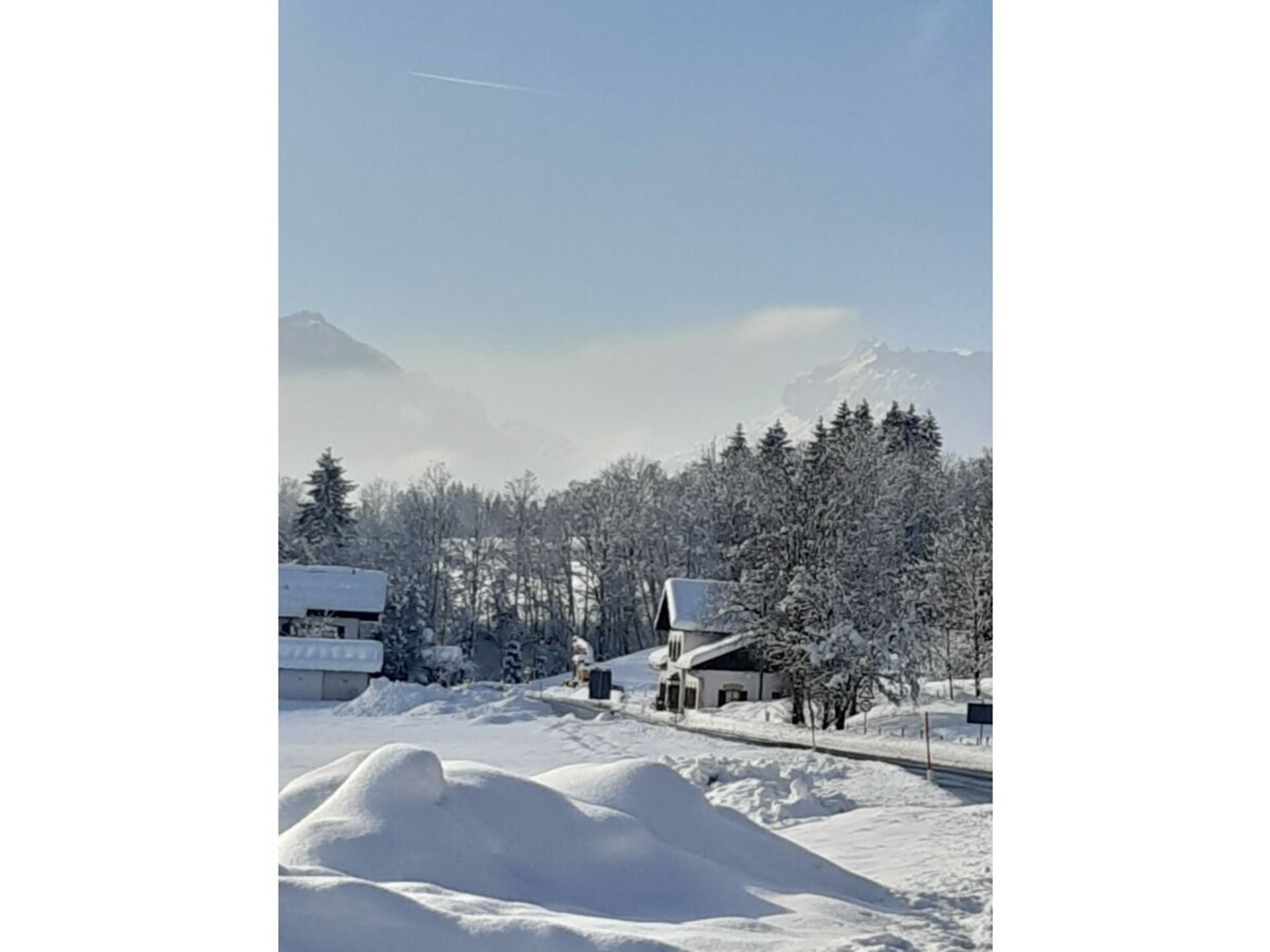 185495 - foto 33