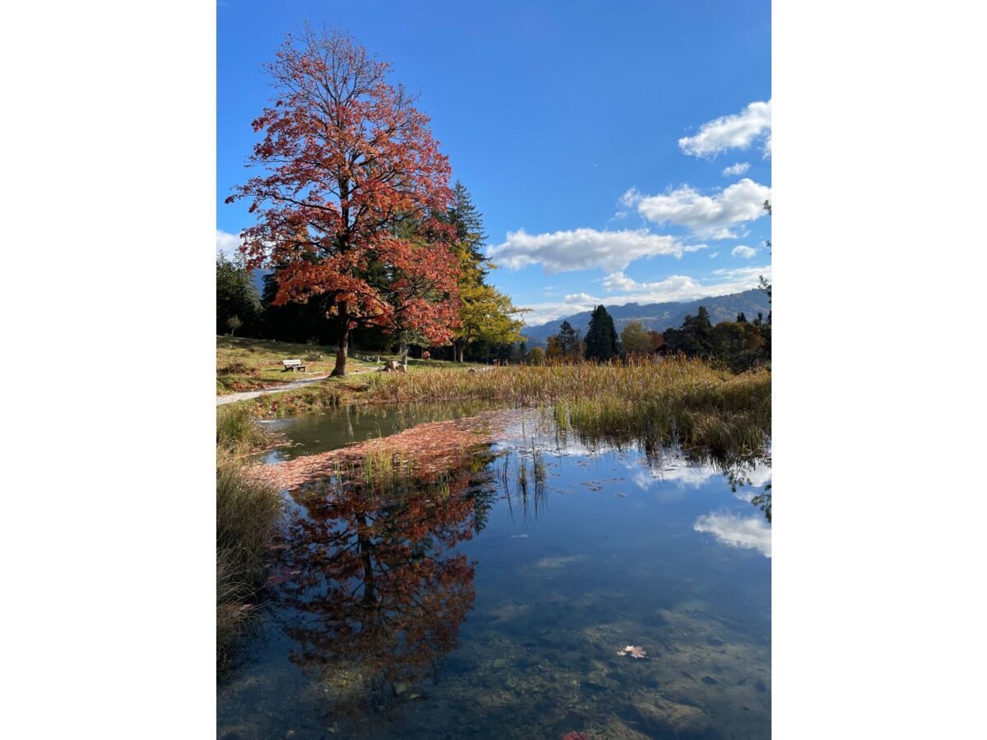 56201 - foto 4