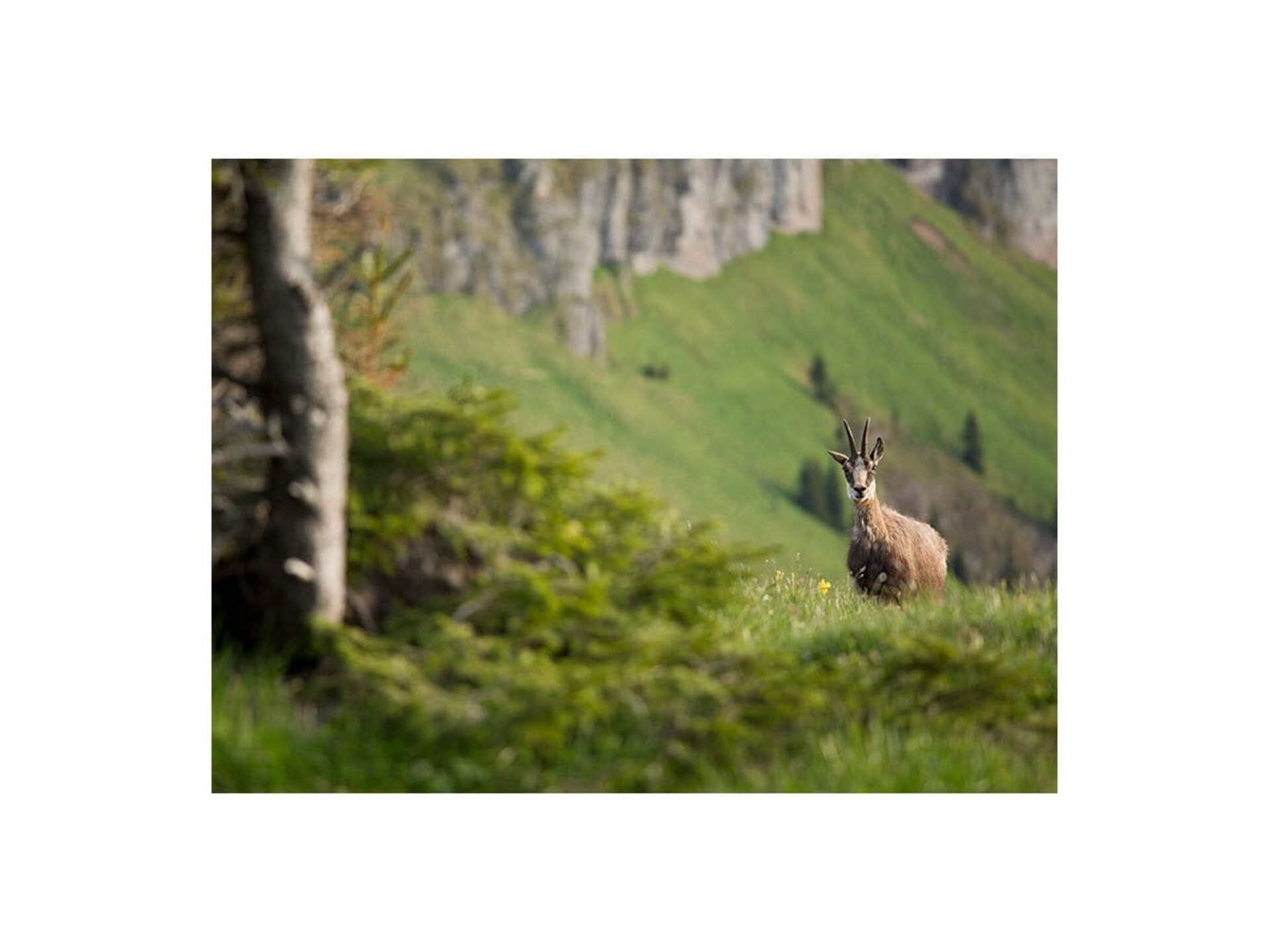 56201 - foto 23