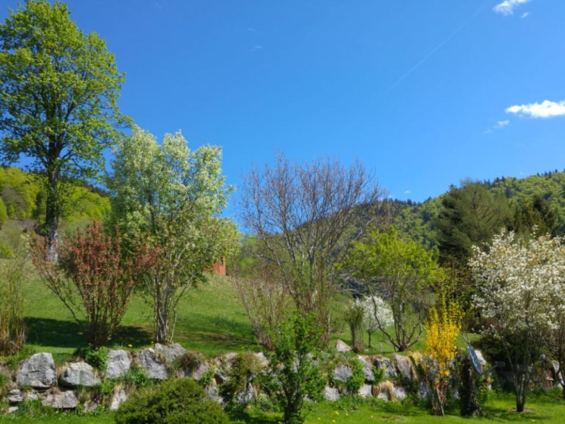 182446 - foto 3