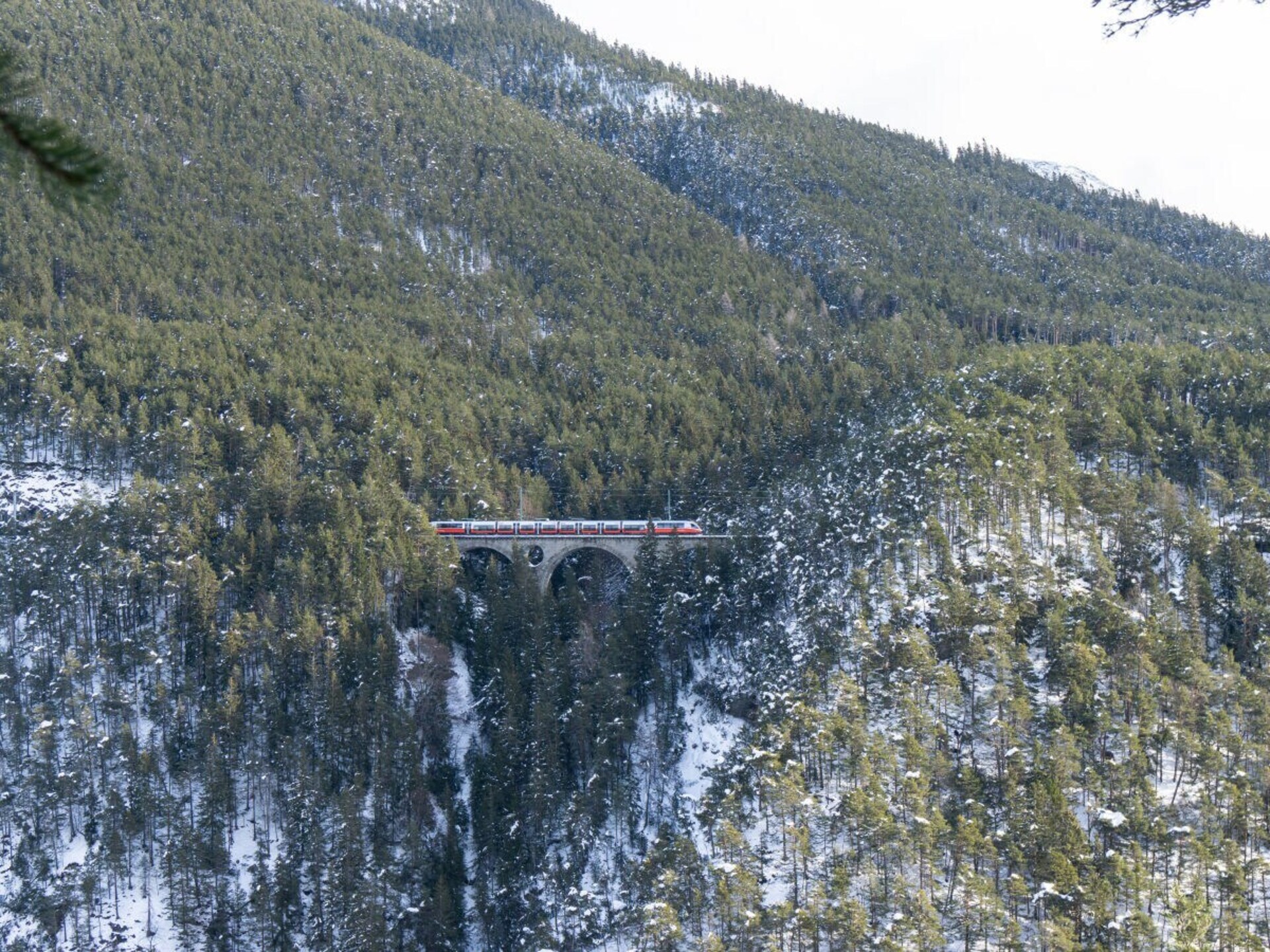 41034 - foto 26