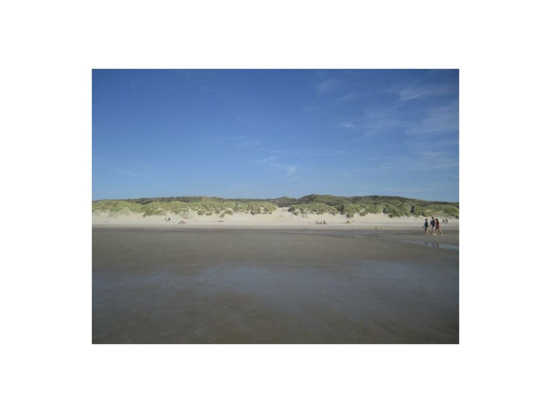 56365 - foto 21
