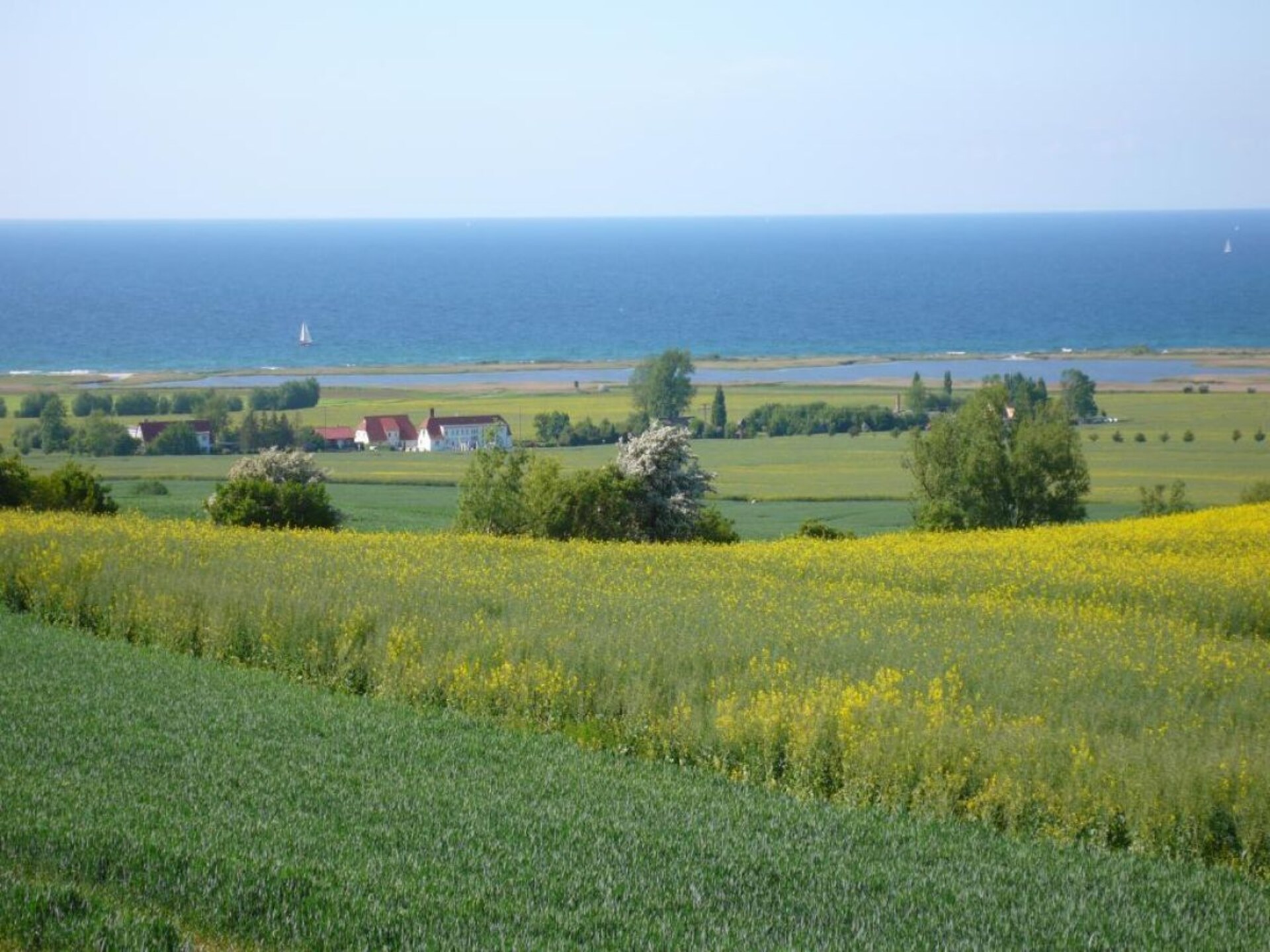 88999 - foto 14