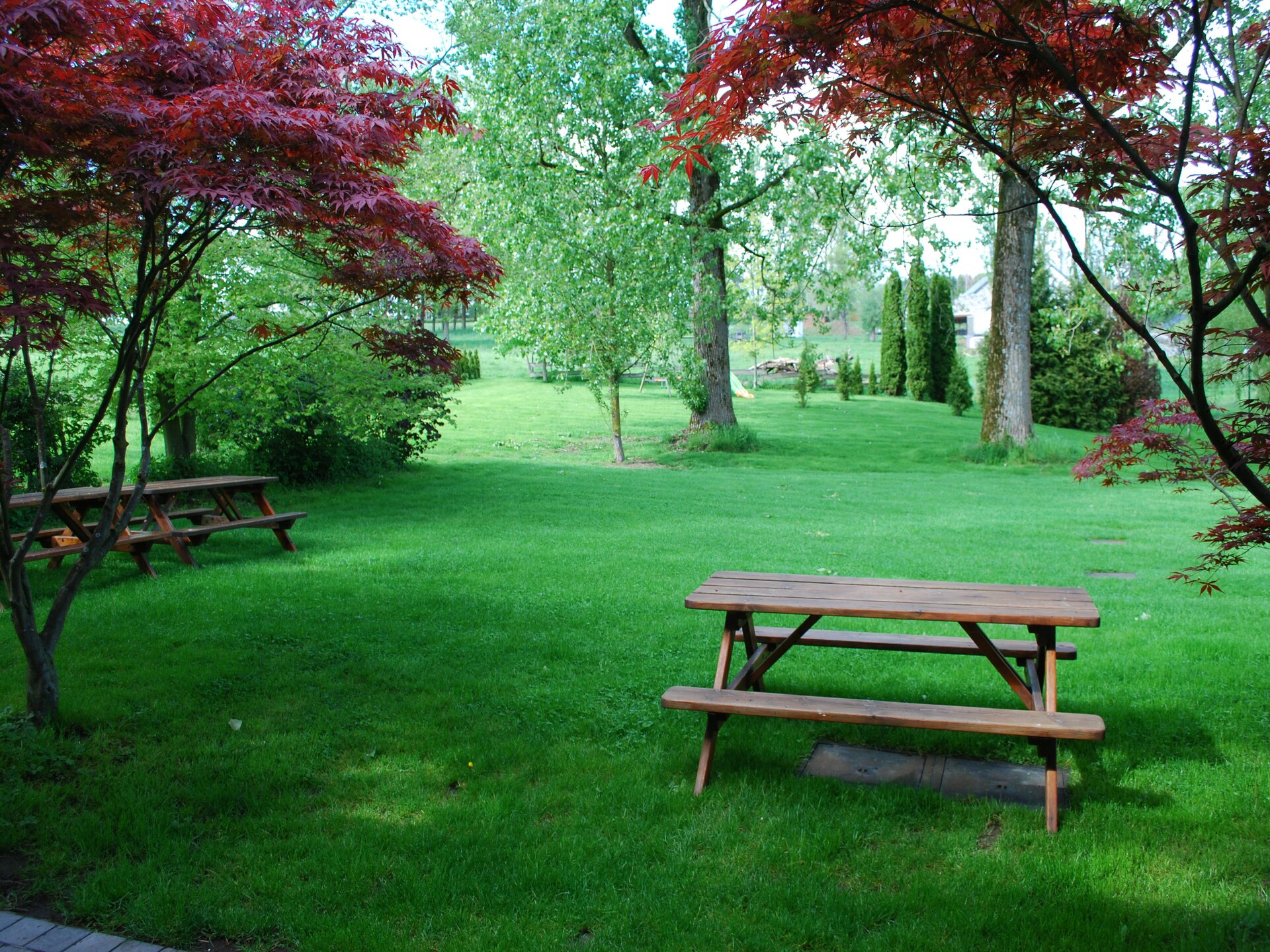 20-persoons landhuis met tuin en vijver in Sprimont - foto 36