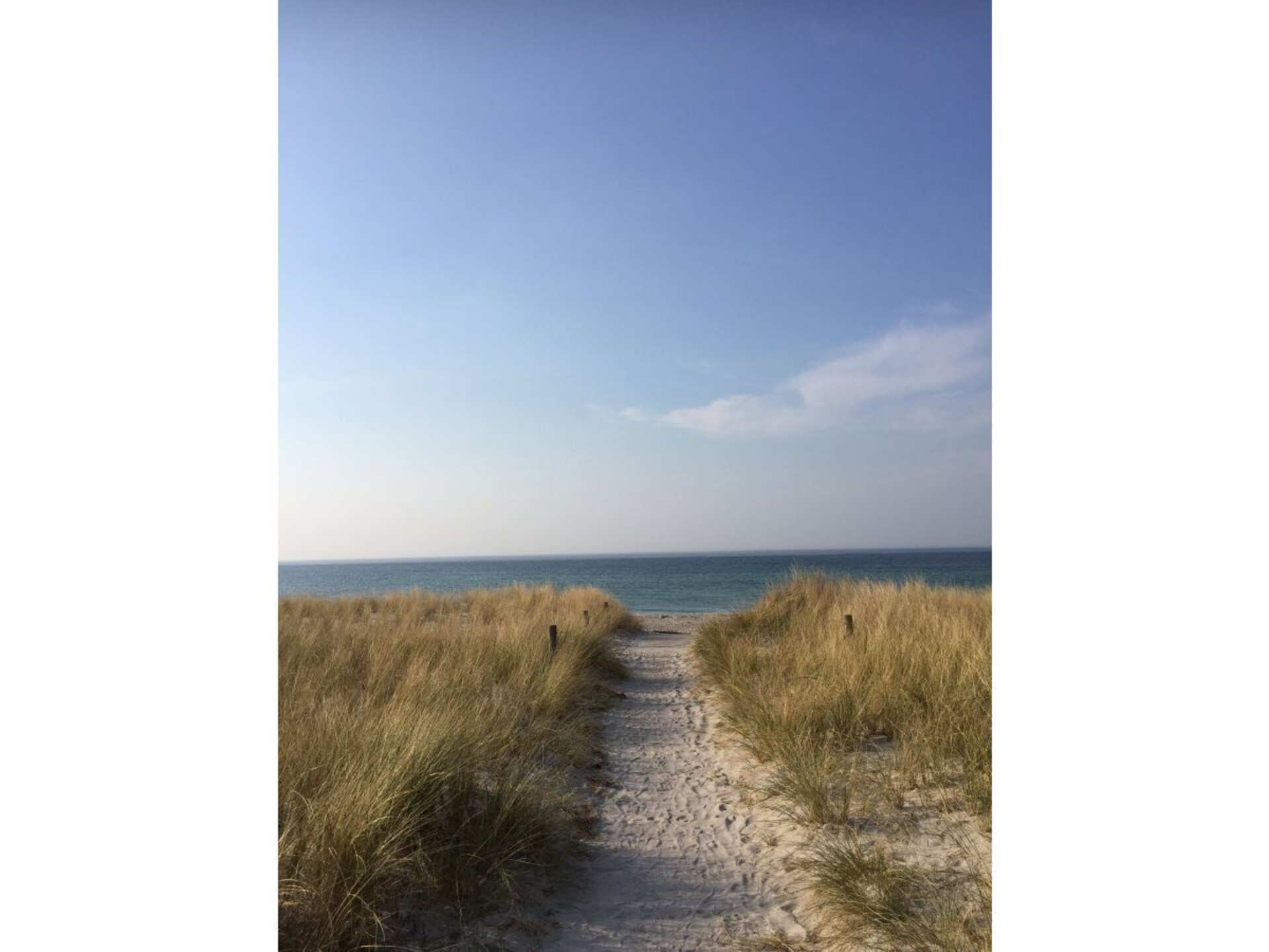 55352 - foto 24
