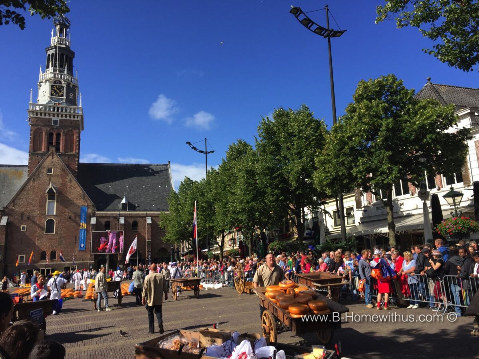 260874 - foto 21