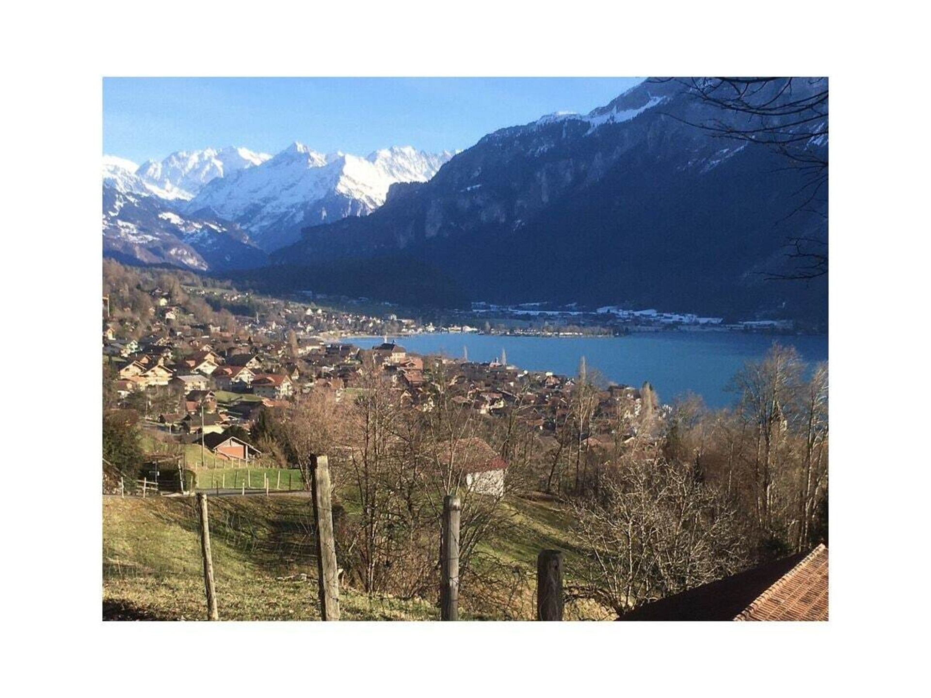 31007 - foto 12