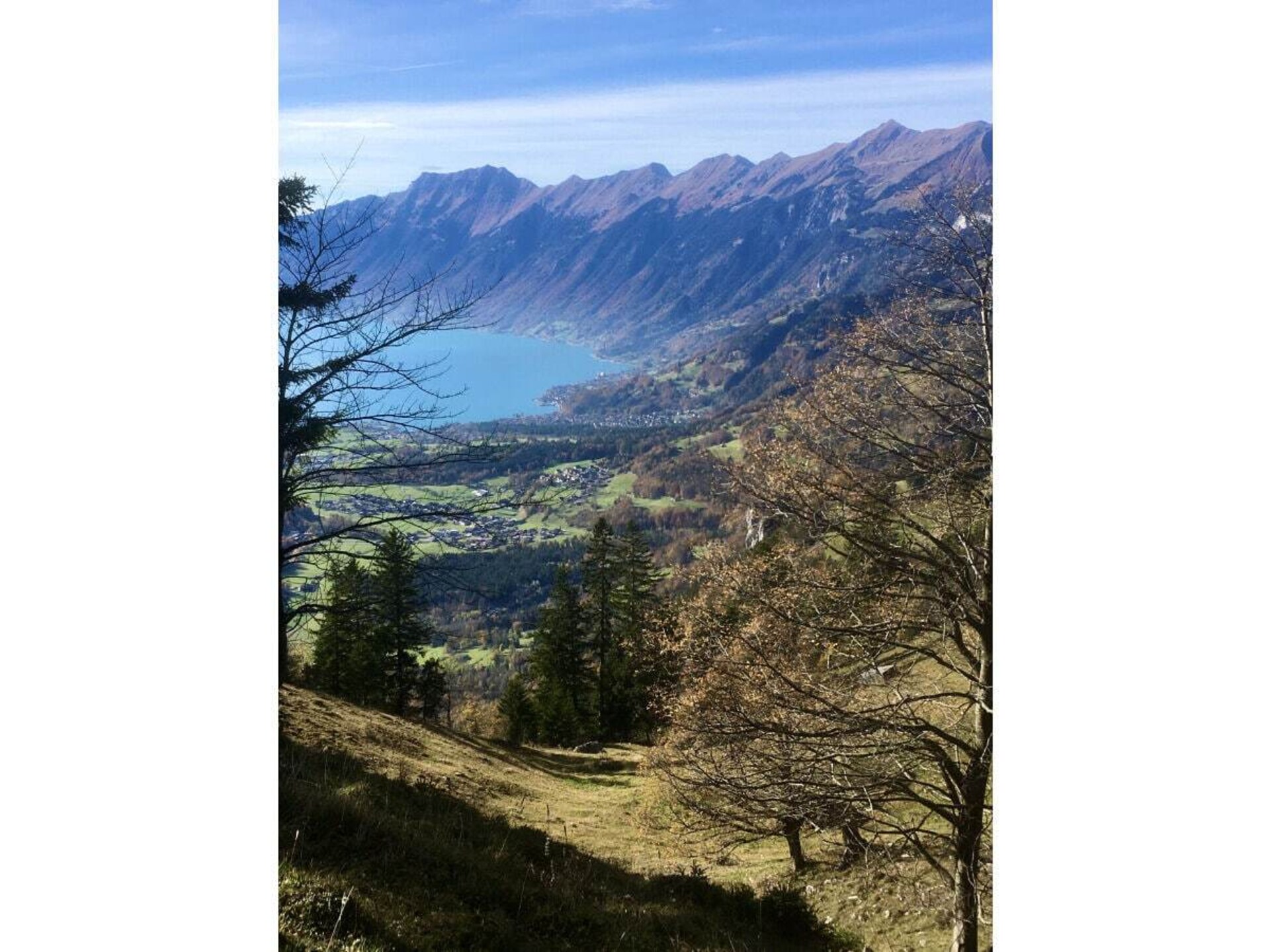 31007 - foto 30