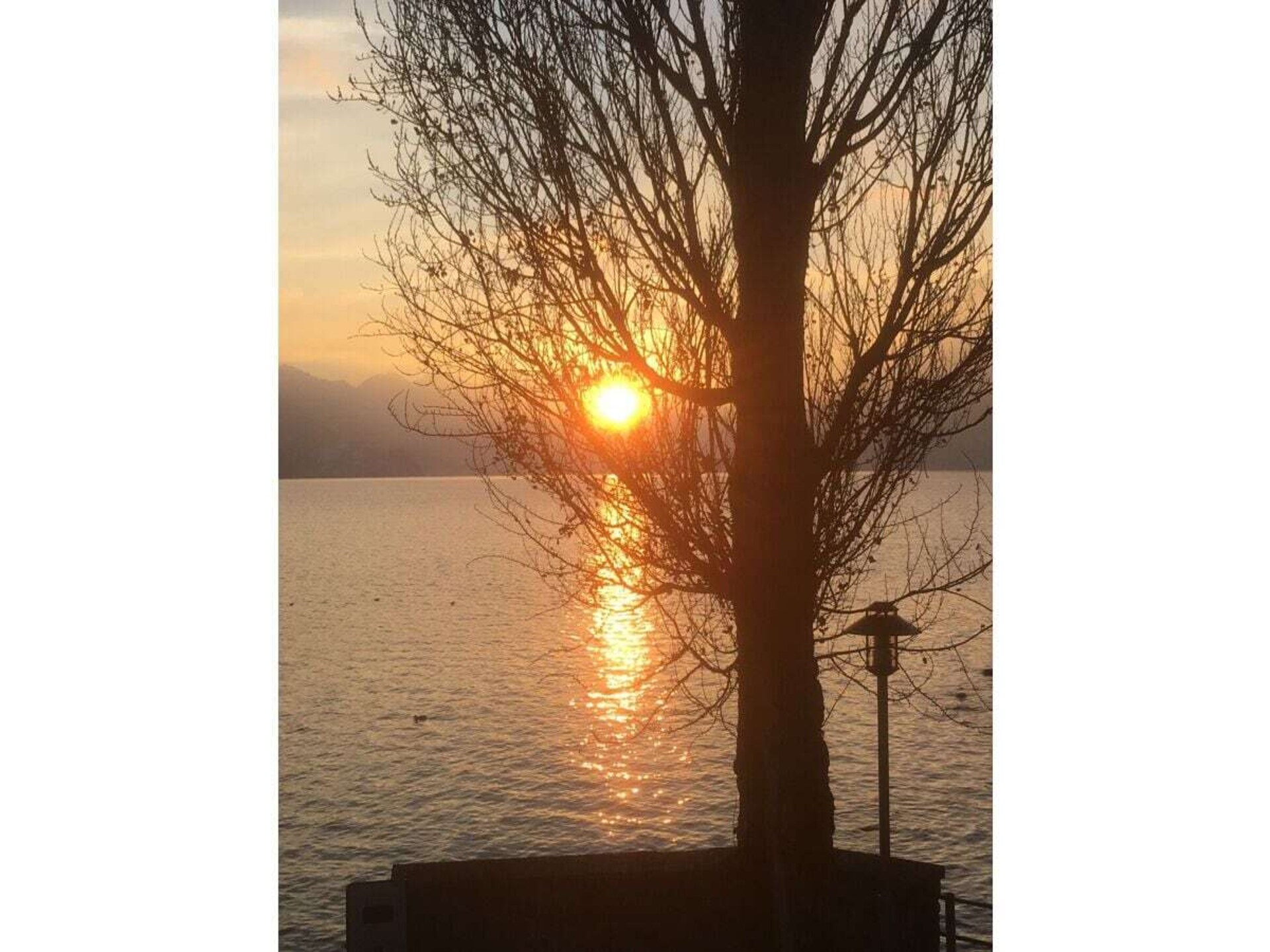 31007 - foto 32