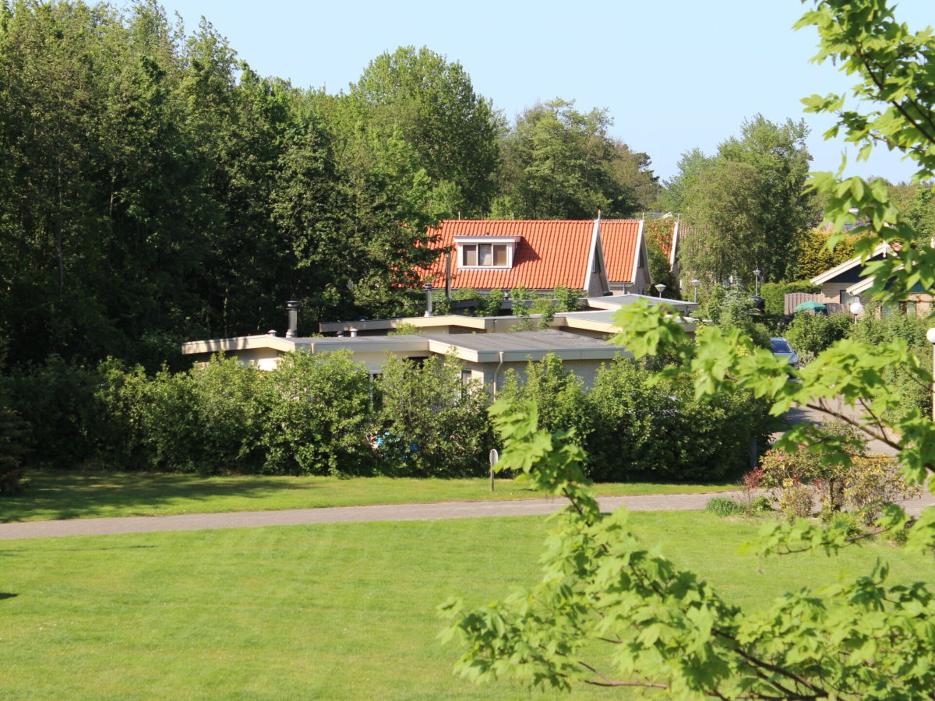 118084 - foto 25
