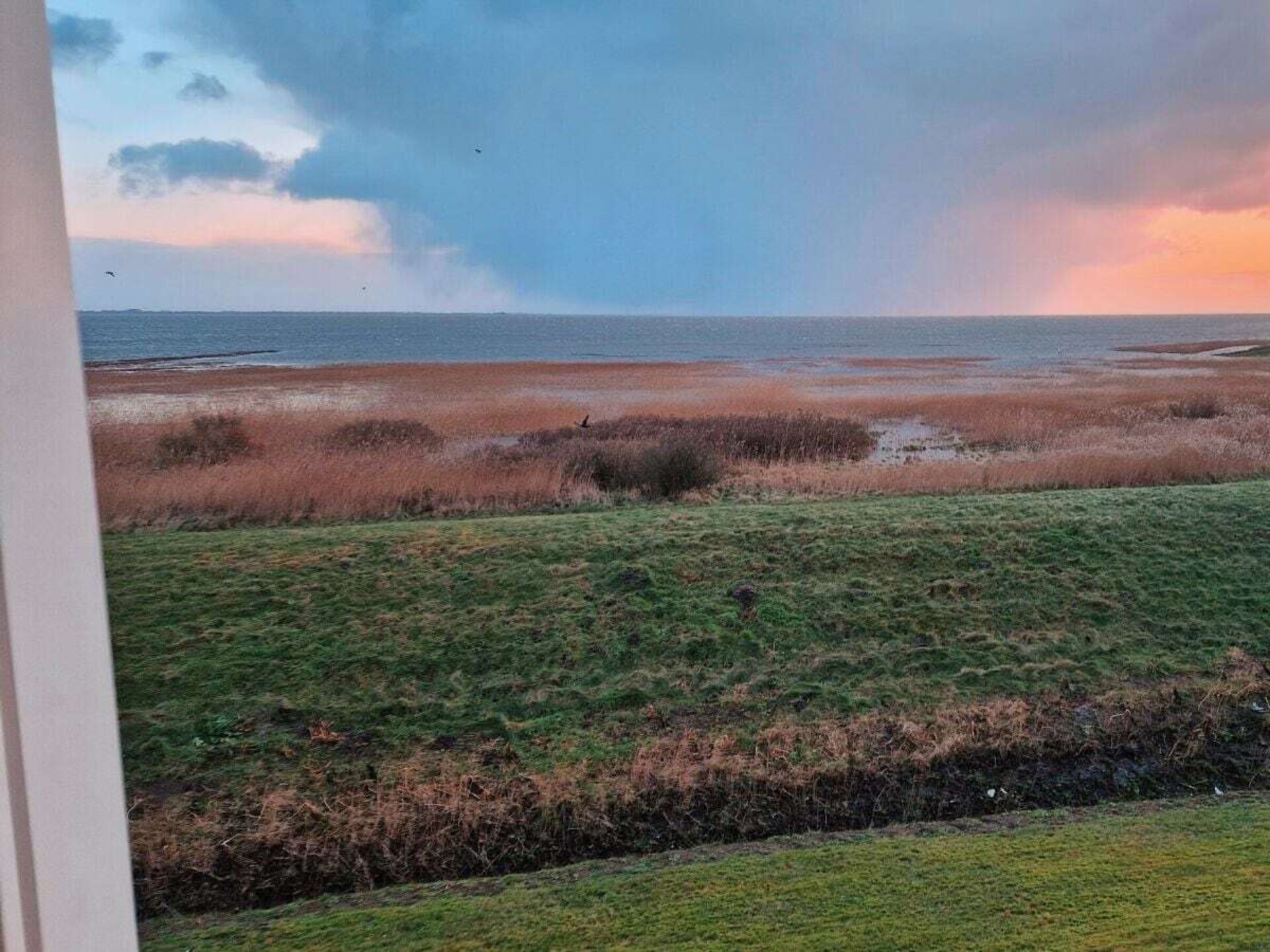 545570 - foto 10