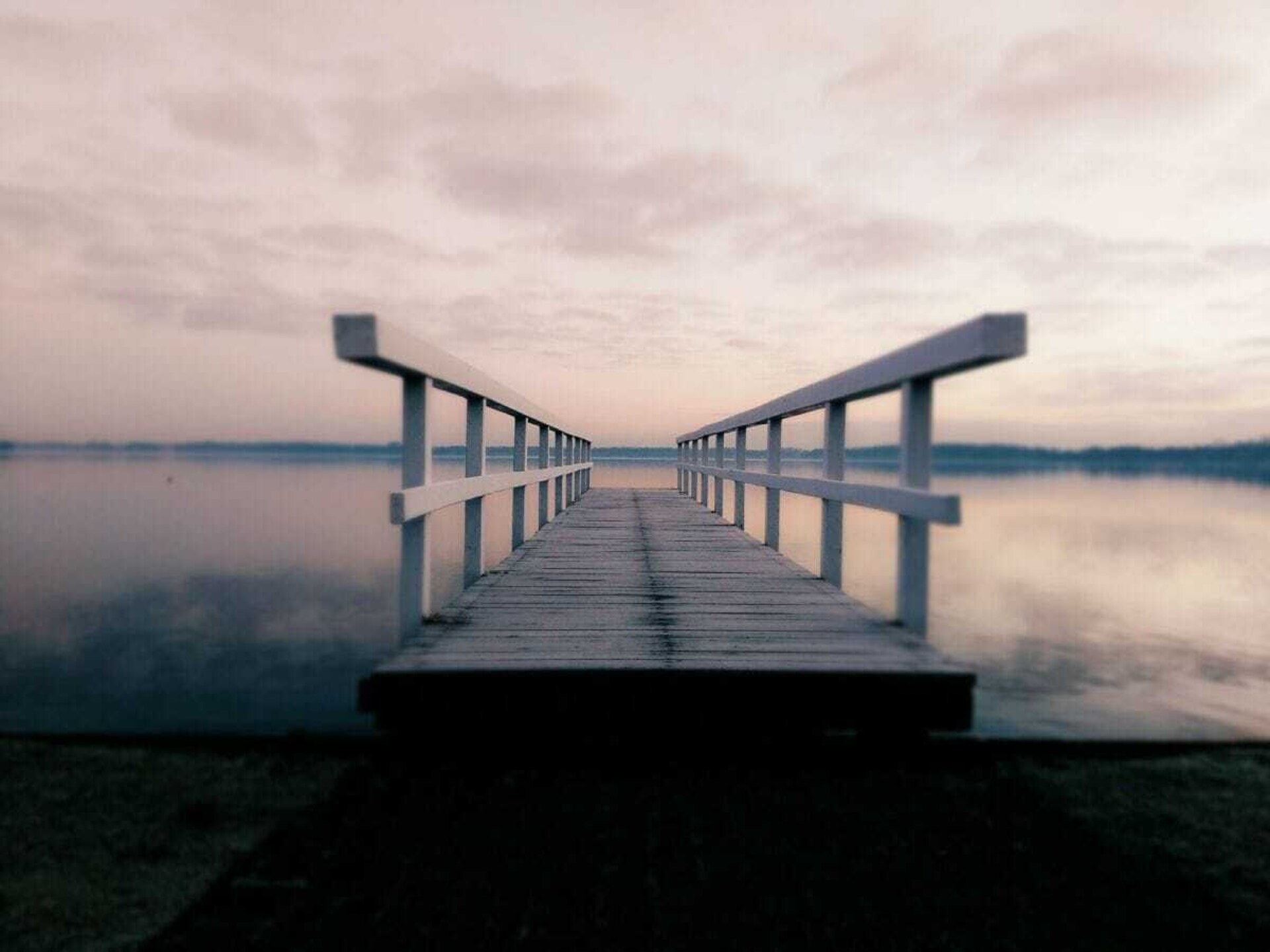 283341 - foto 15