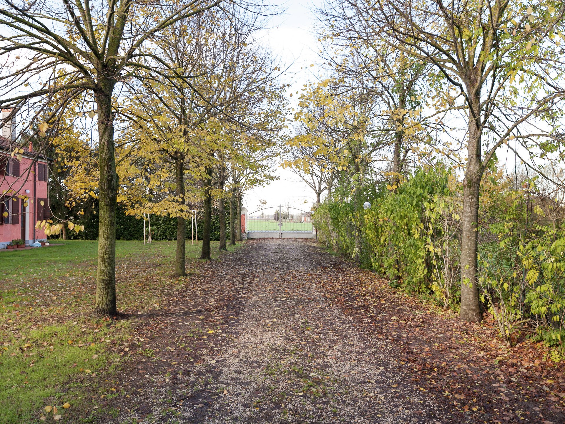 Rustieke boerderij met zwembad en park in het Venetiaanse platteland - foto 25
