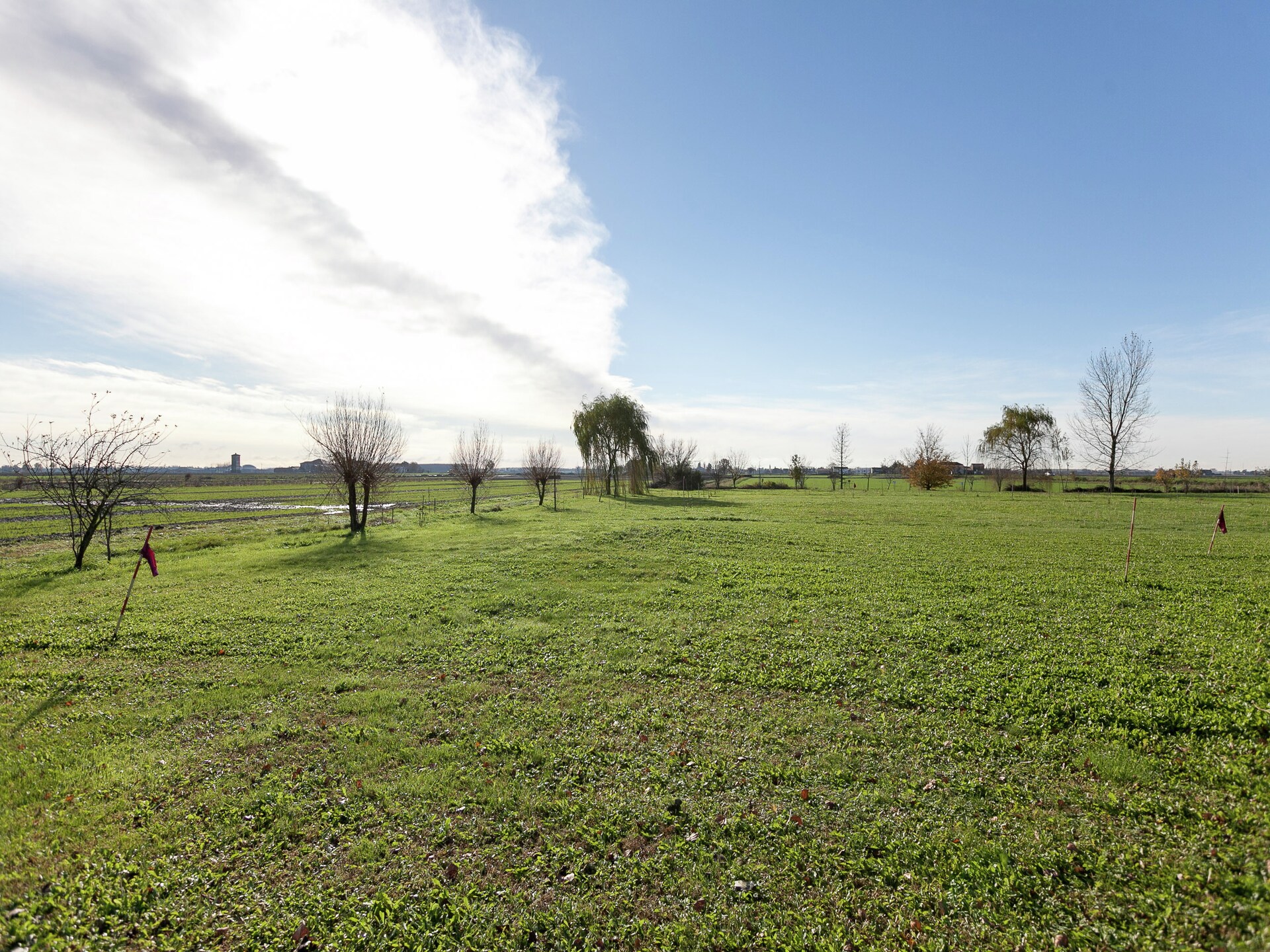 Rustieke boerderij met zwembad en park in het Venetiaanse platteland - foto 36
