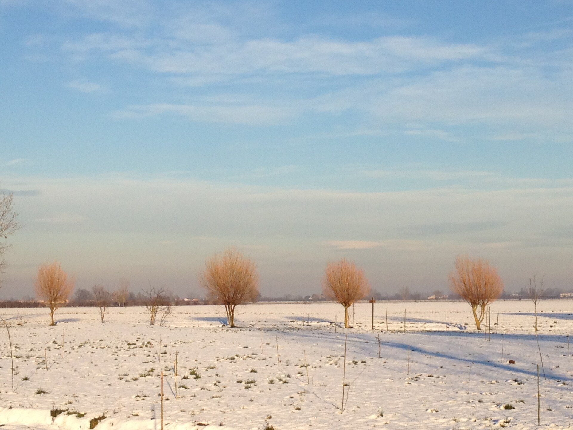 Rustieke boerderij met zwembad en park in het Venetiaanse platteland - foto 34