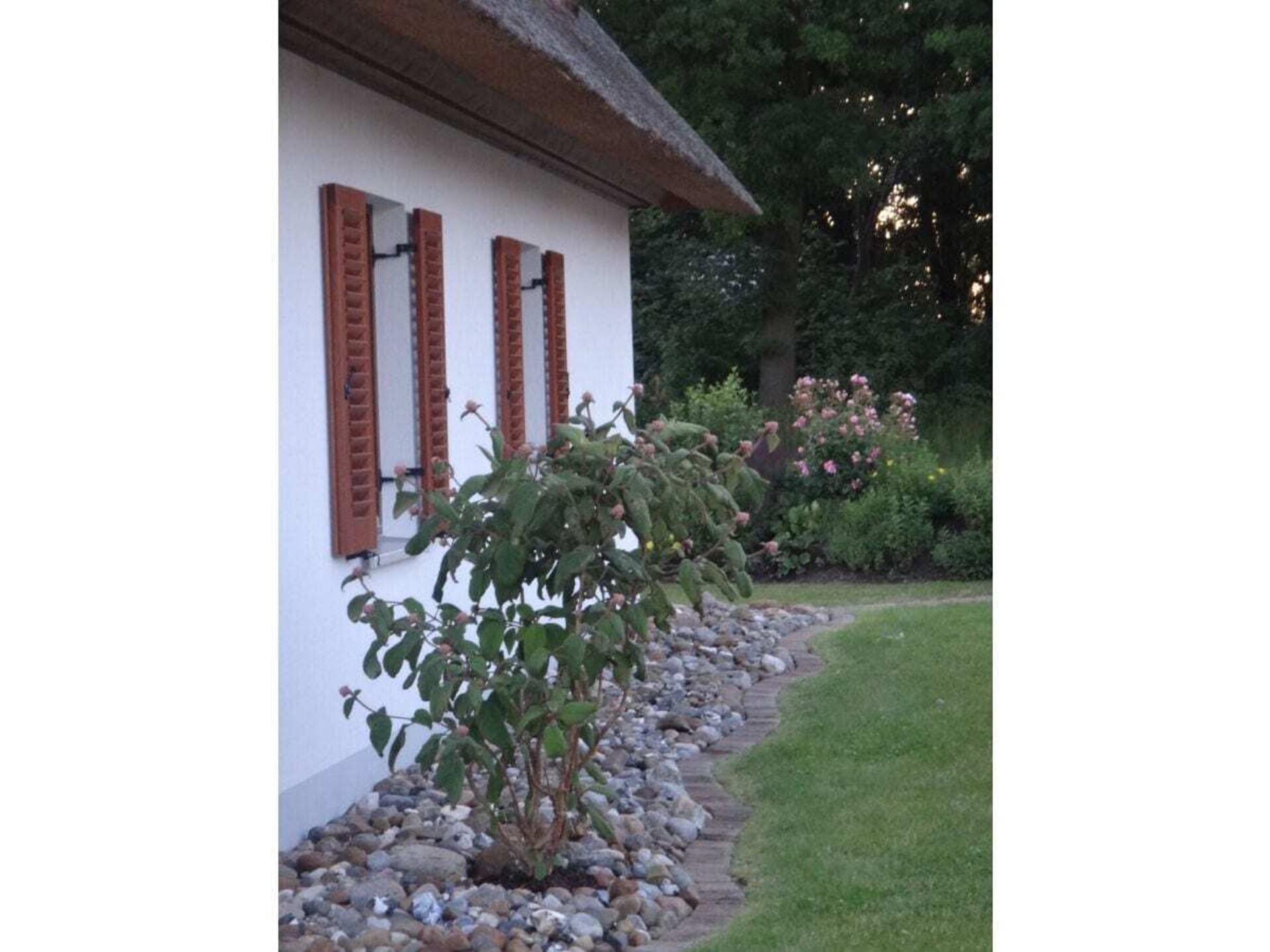 278561 - foto 5