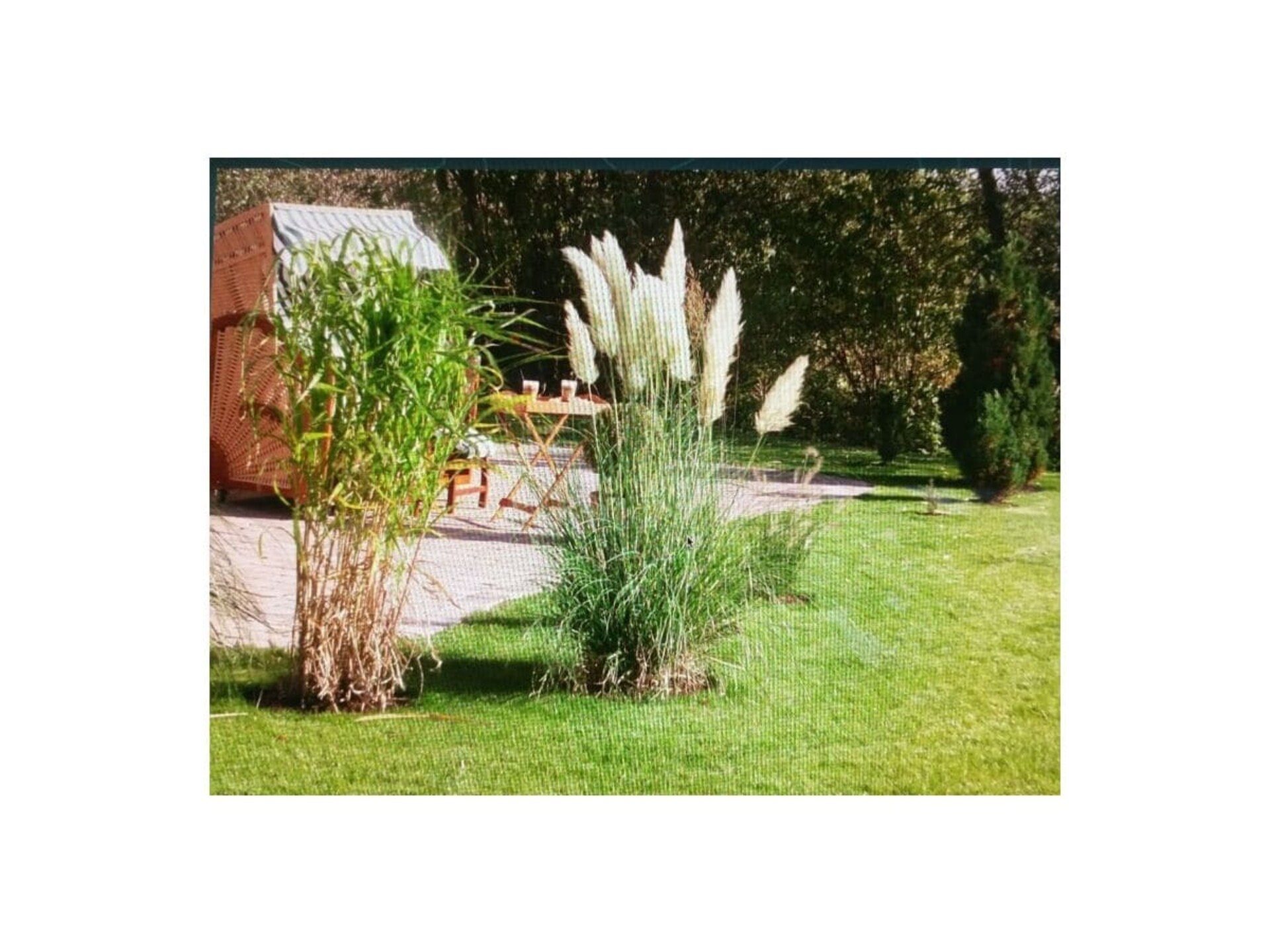 278561 - foto 11