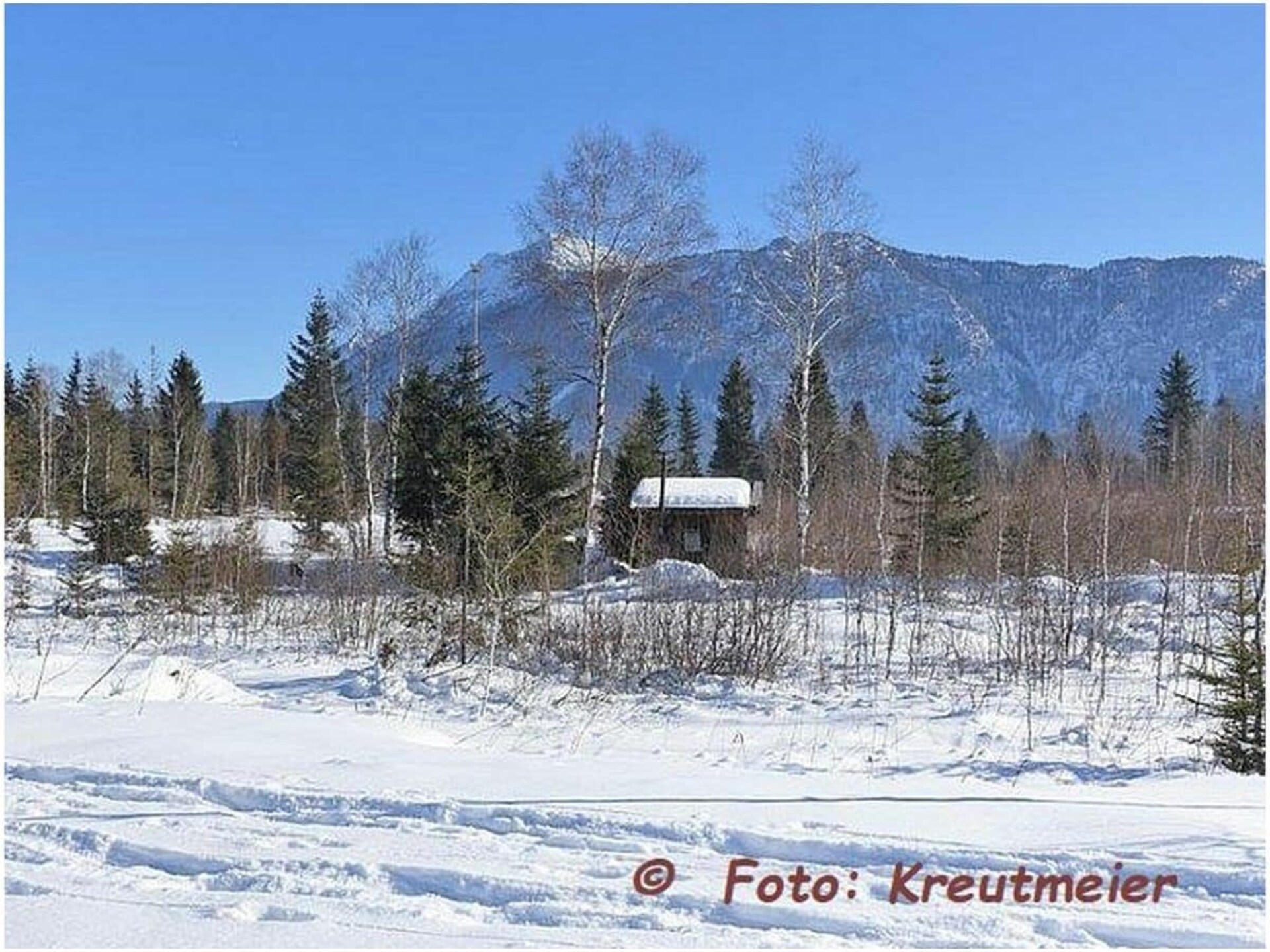 474907 - foto 30