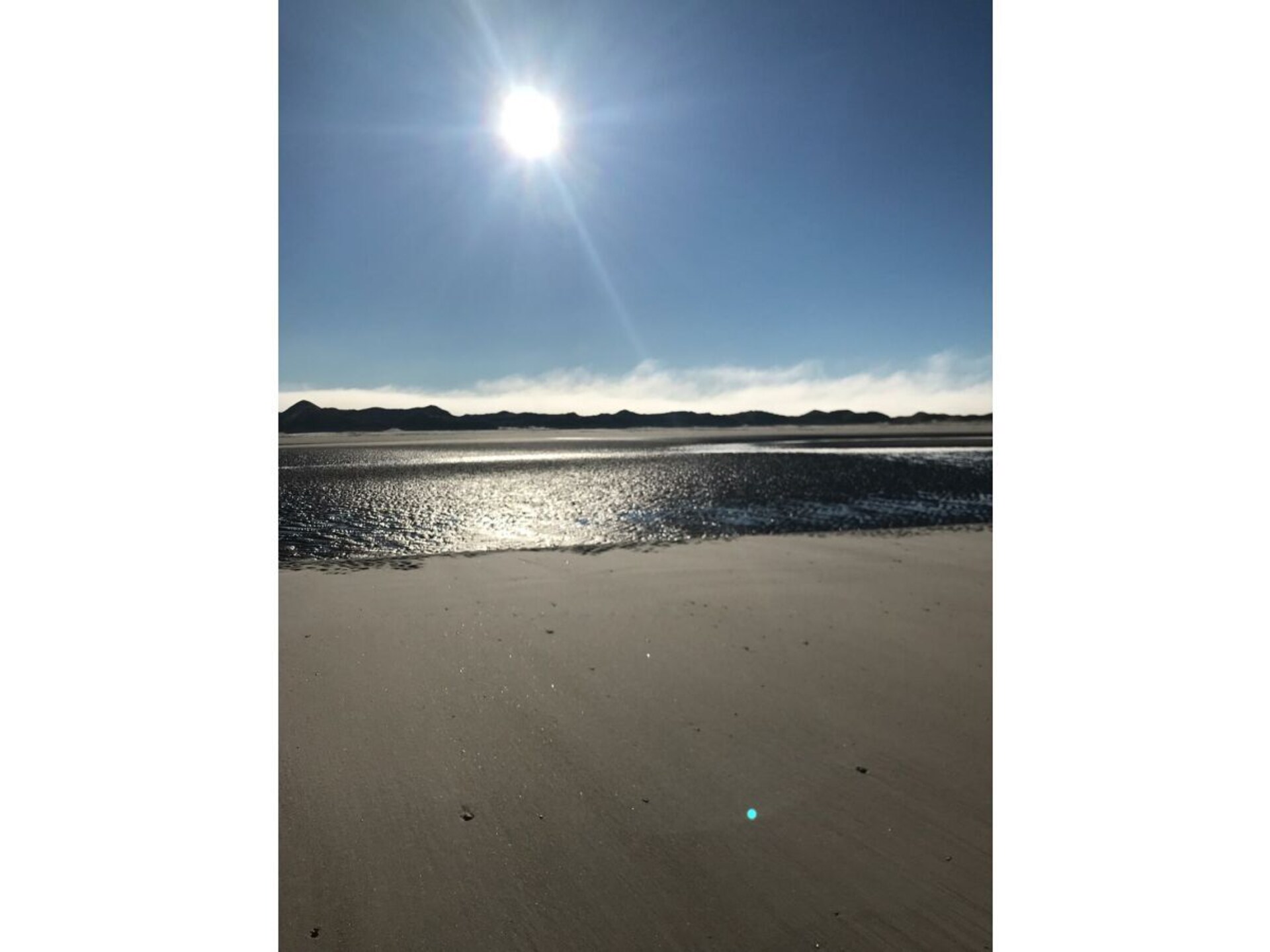 385740 - foto 8