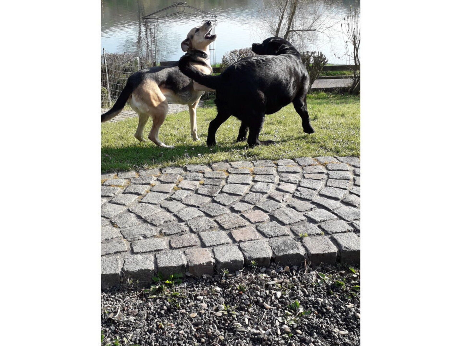 189034 - foto 32