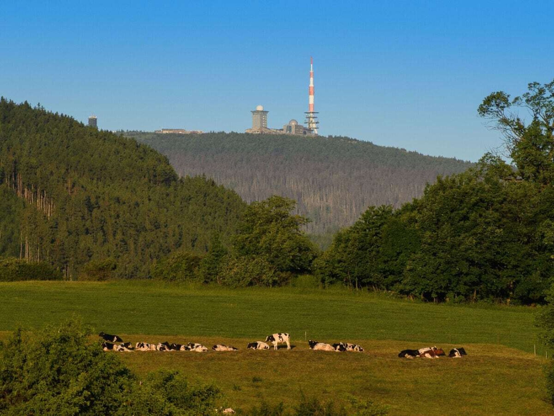 768969 - foto 18