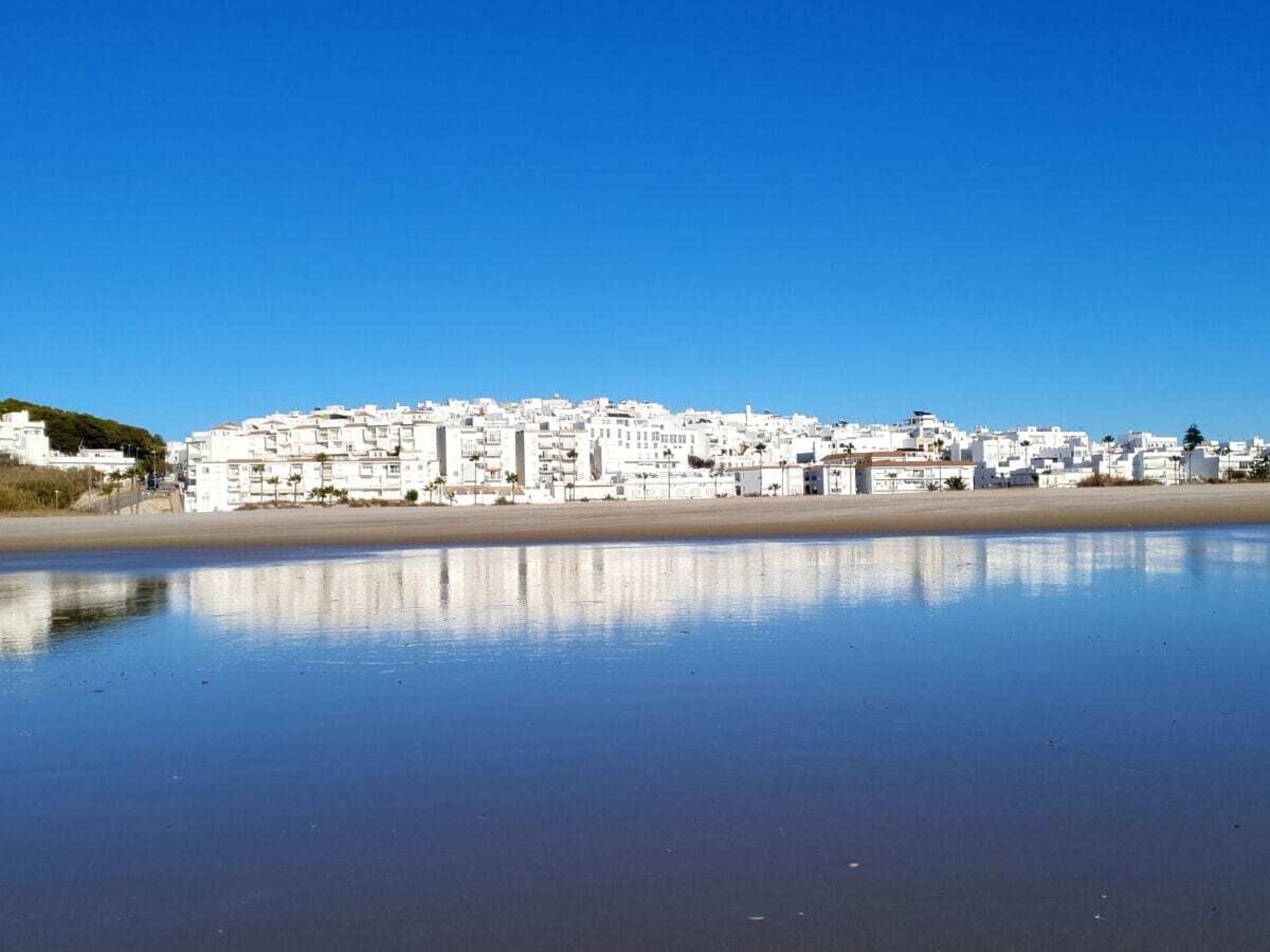 425894 - foto 18