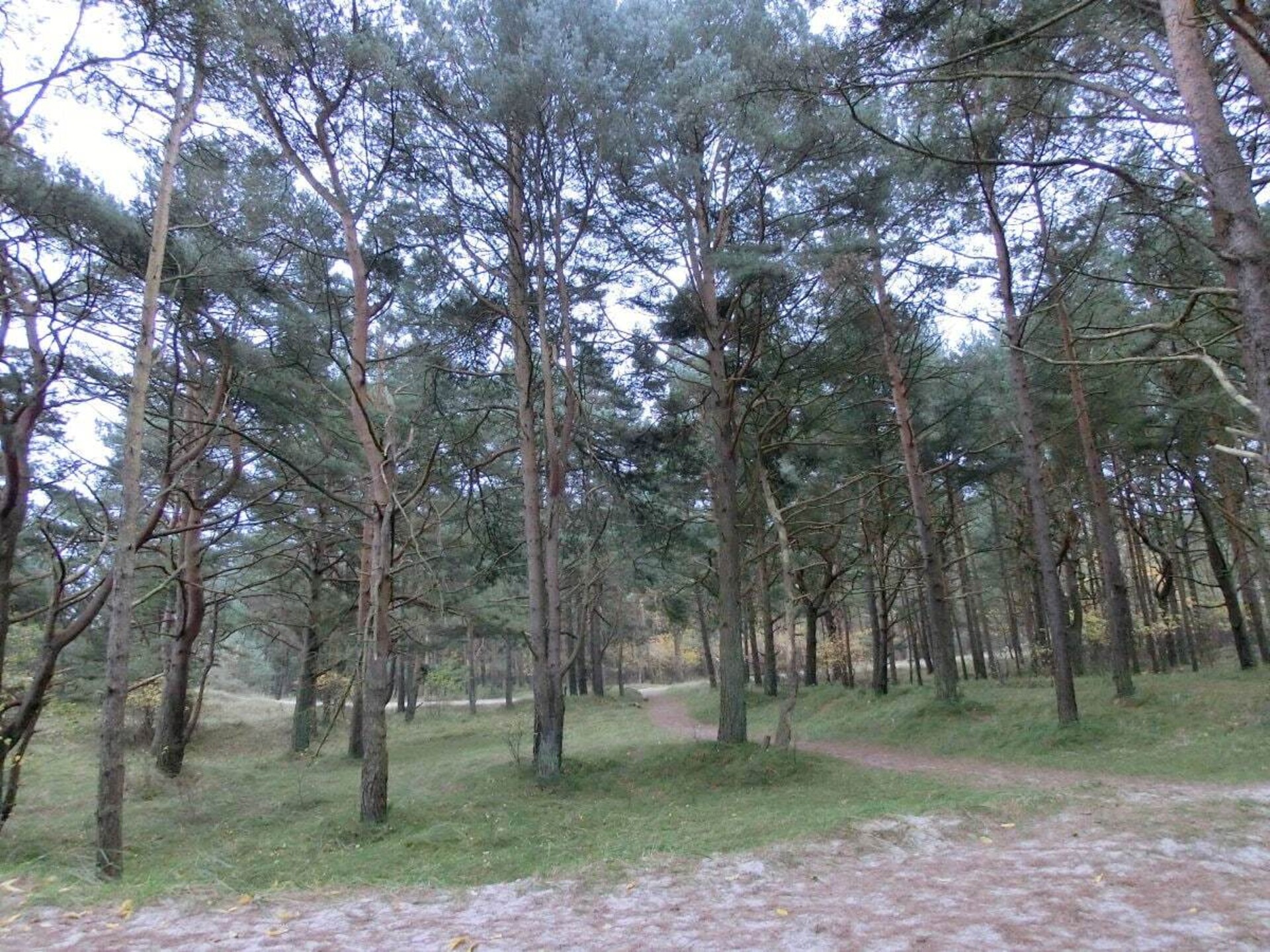 102734 - foto 10