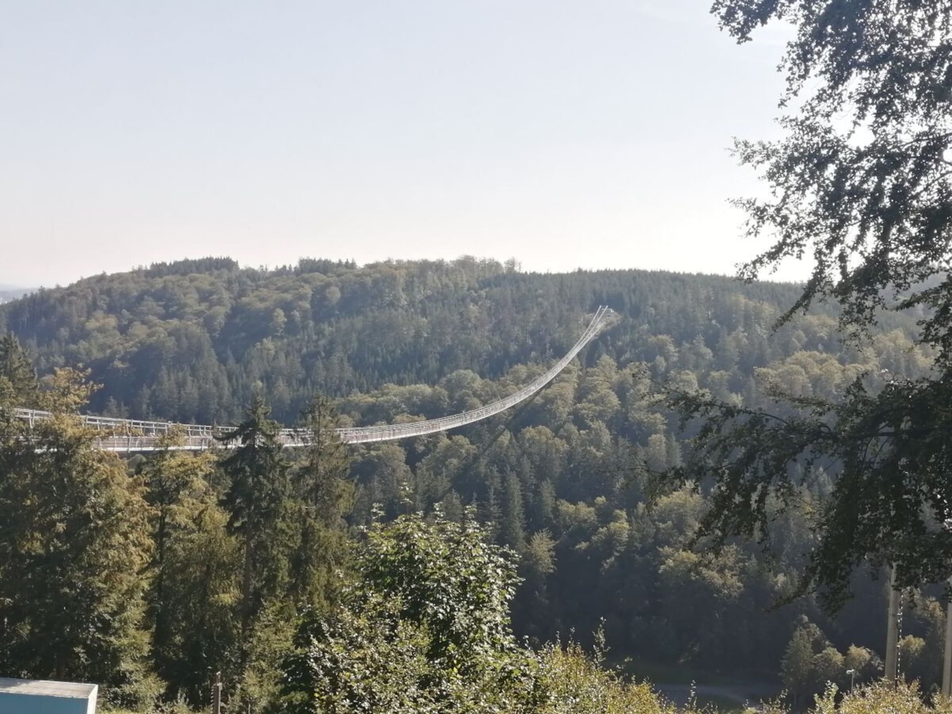 219551 - foto 20