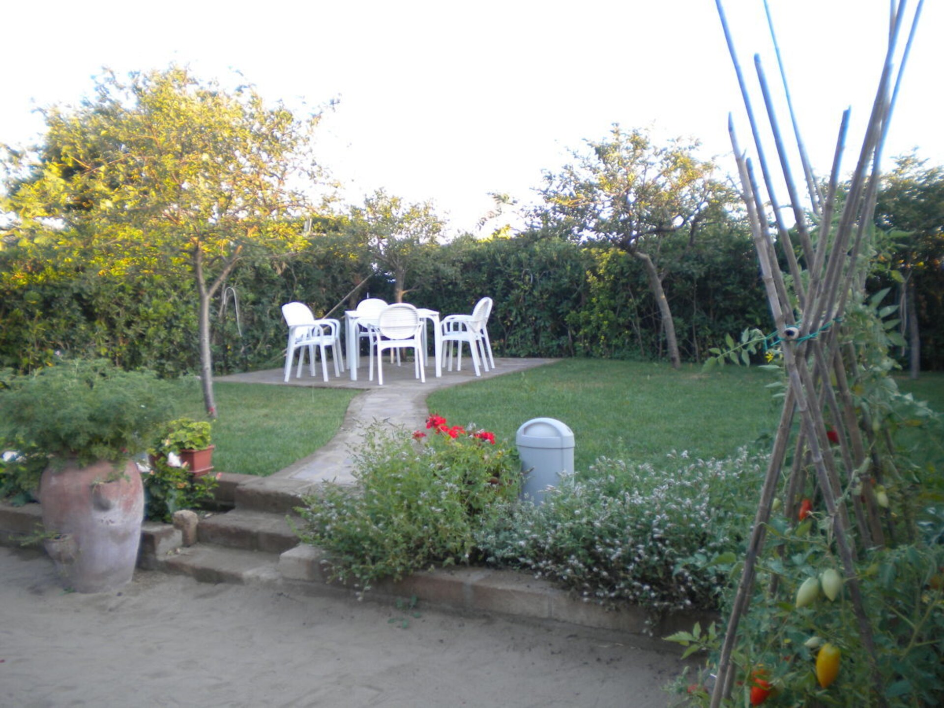 28588 - foto 5
