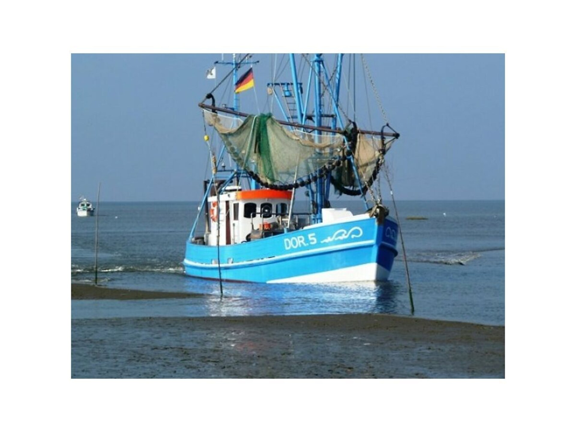 438224 - foto 13
