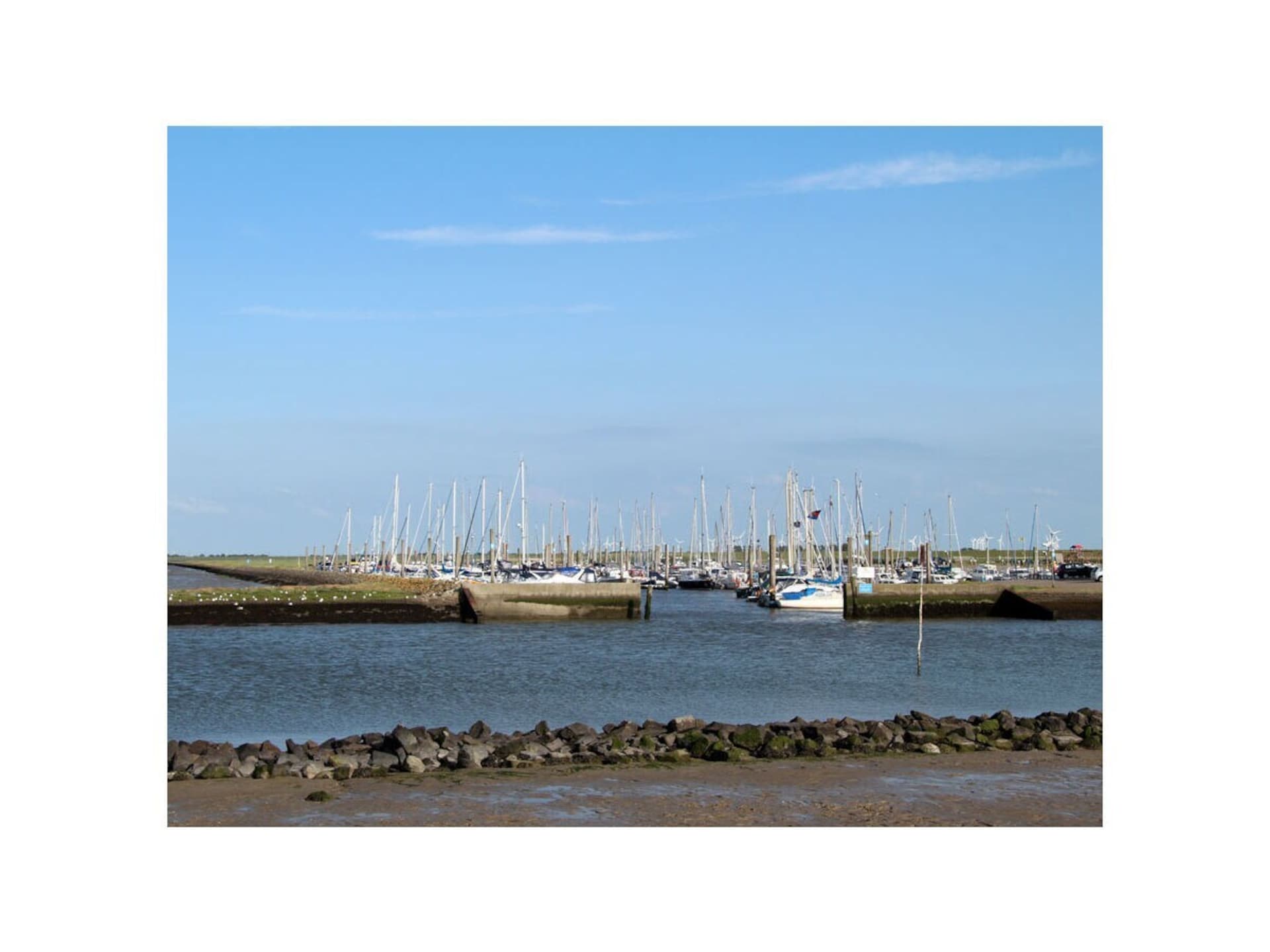 285020 - foto 18
