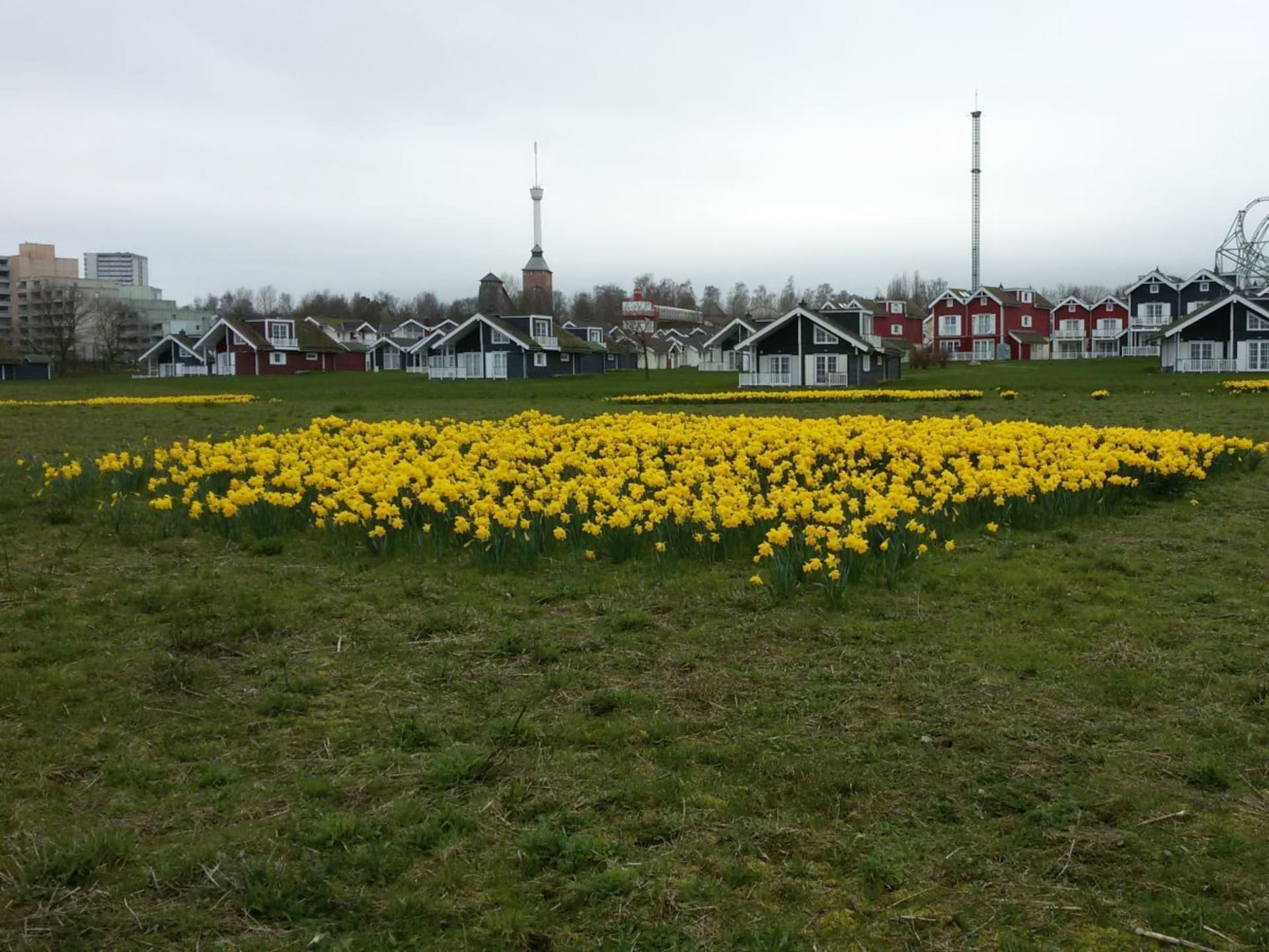 258306 - foto 3