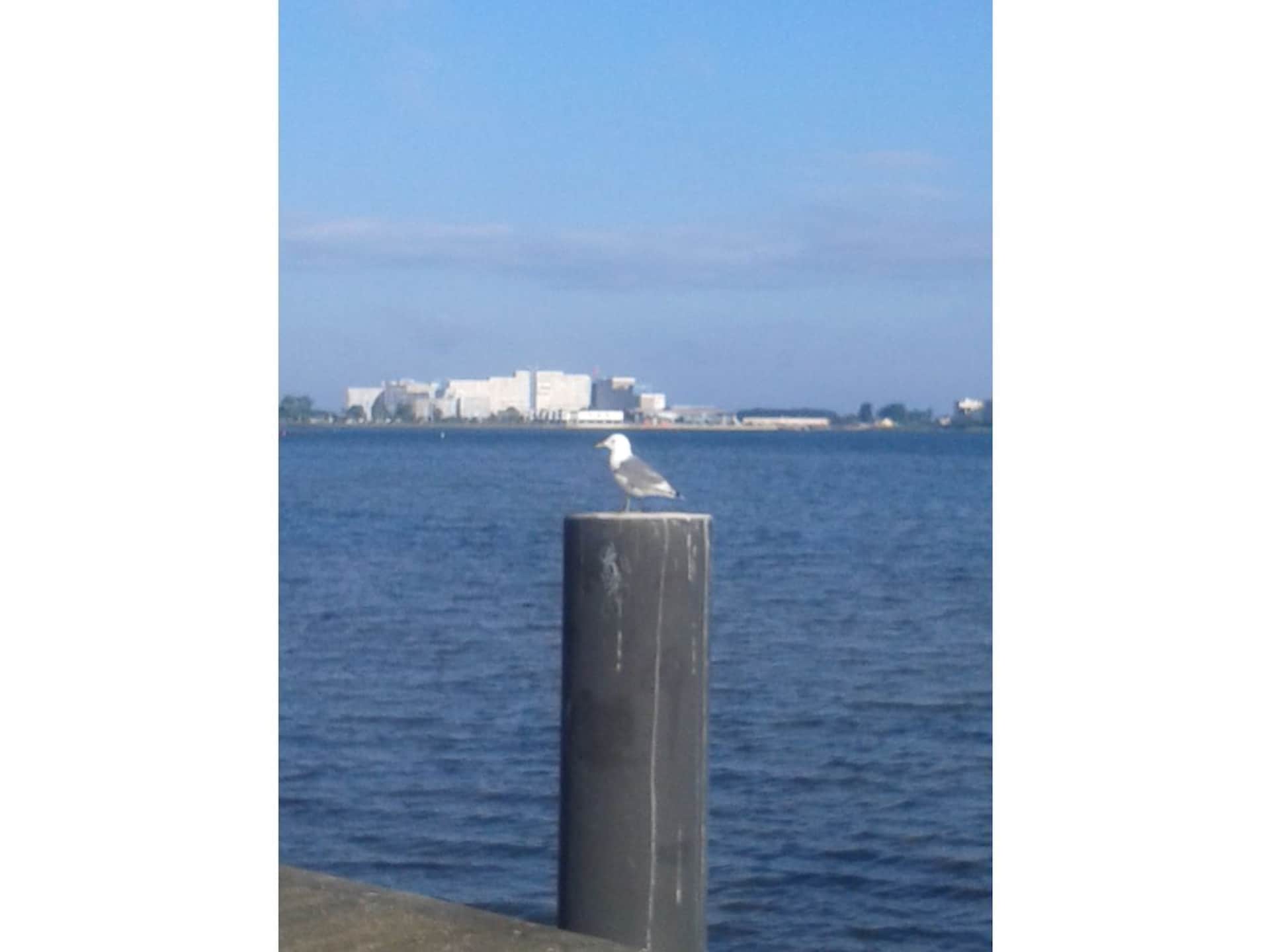 177049 - foto 12