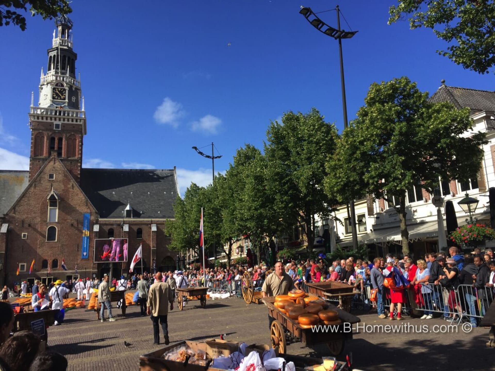290775 - foto 23