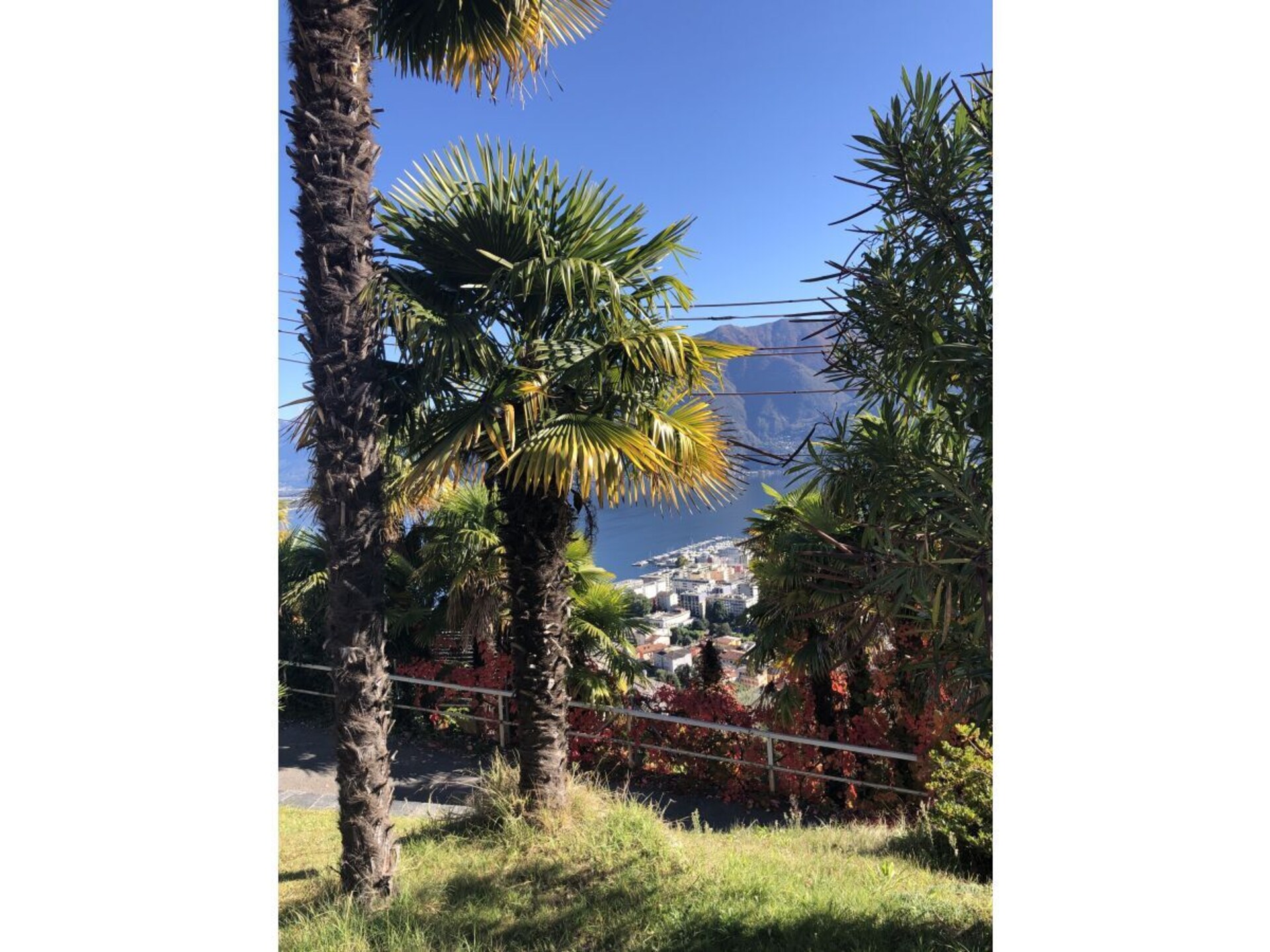 374398 - foto 38