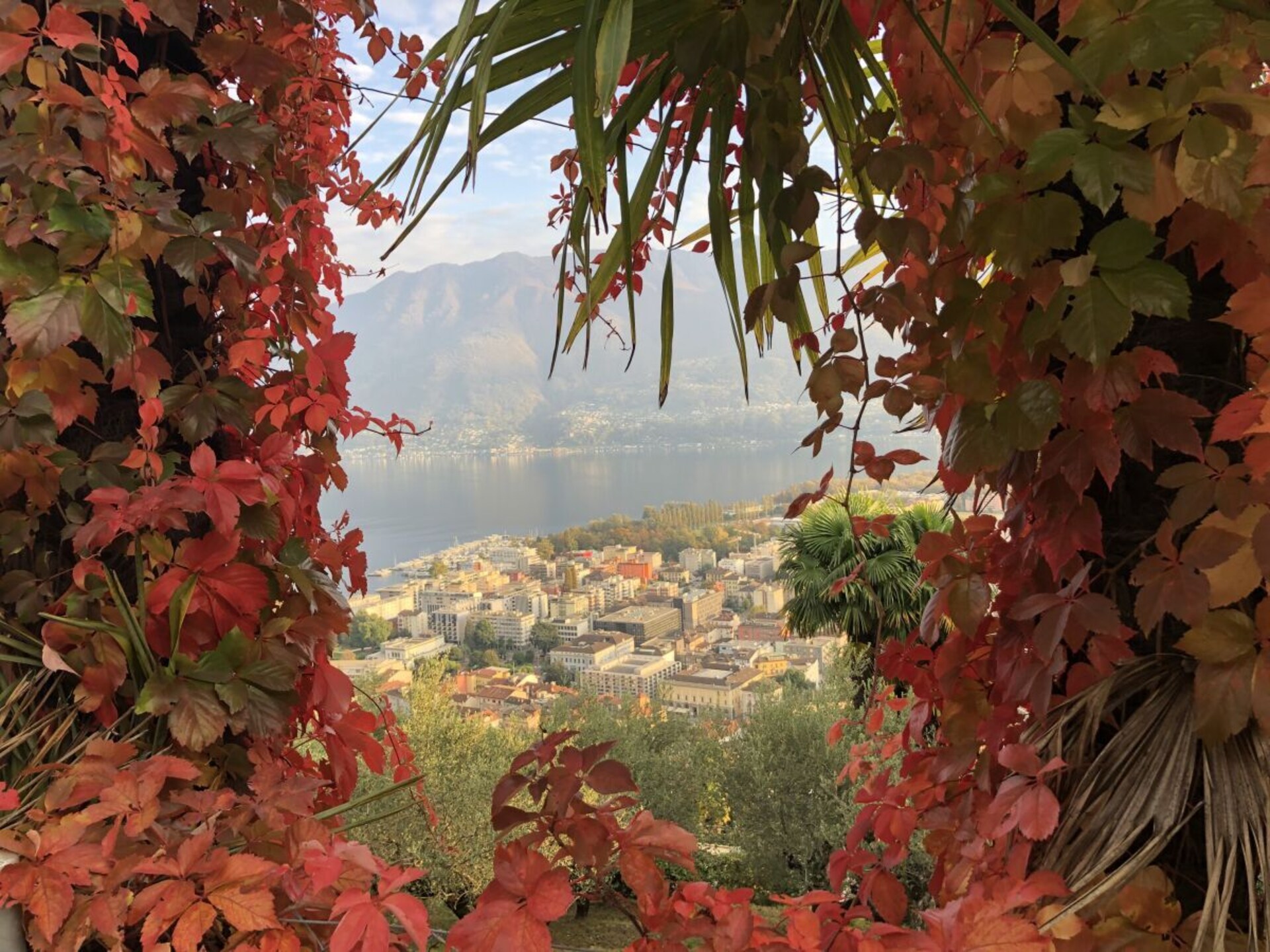 374398 - foto 41