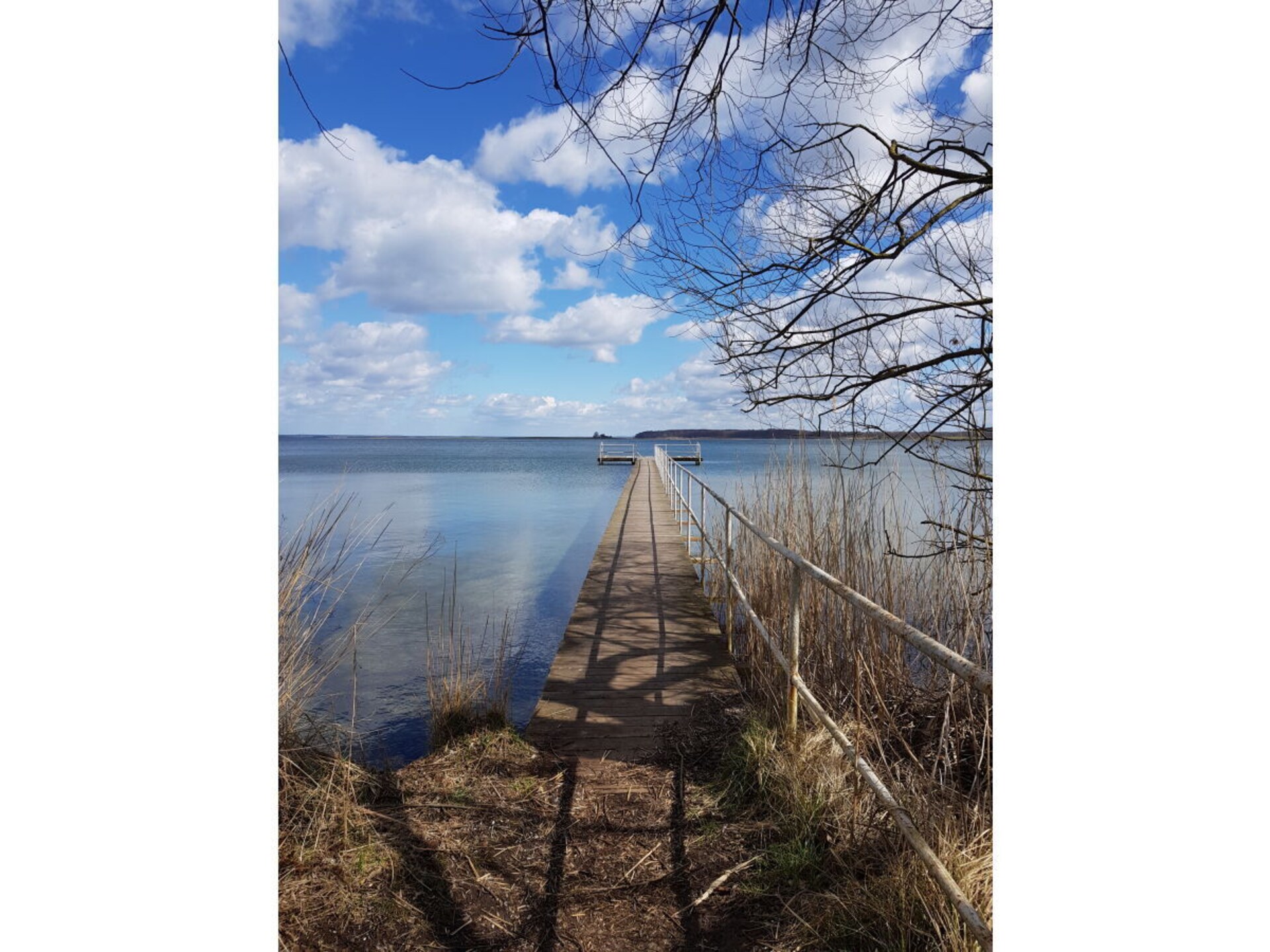 190008 - foto 37