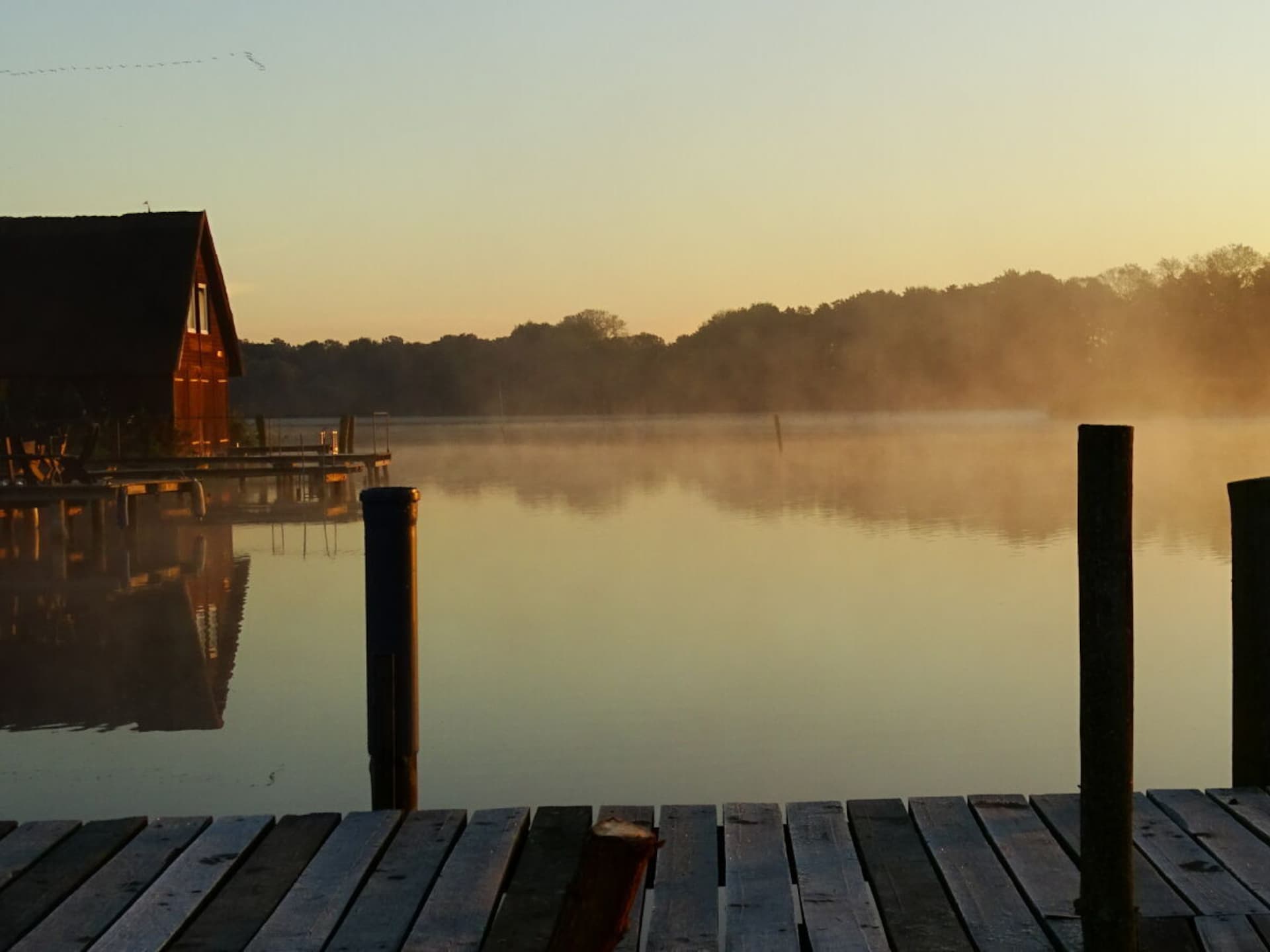 293627 - foto 15