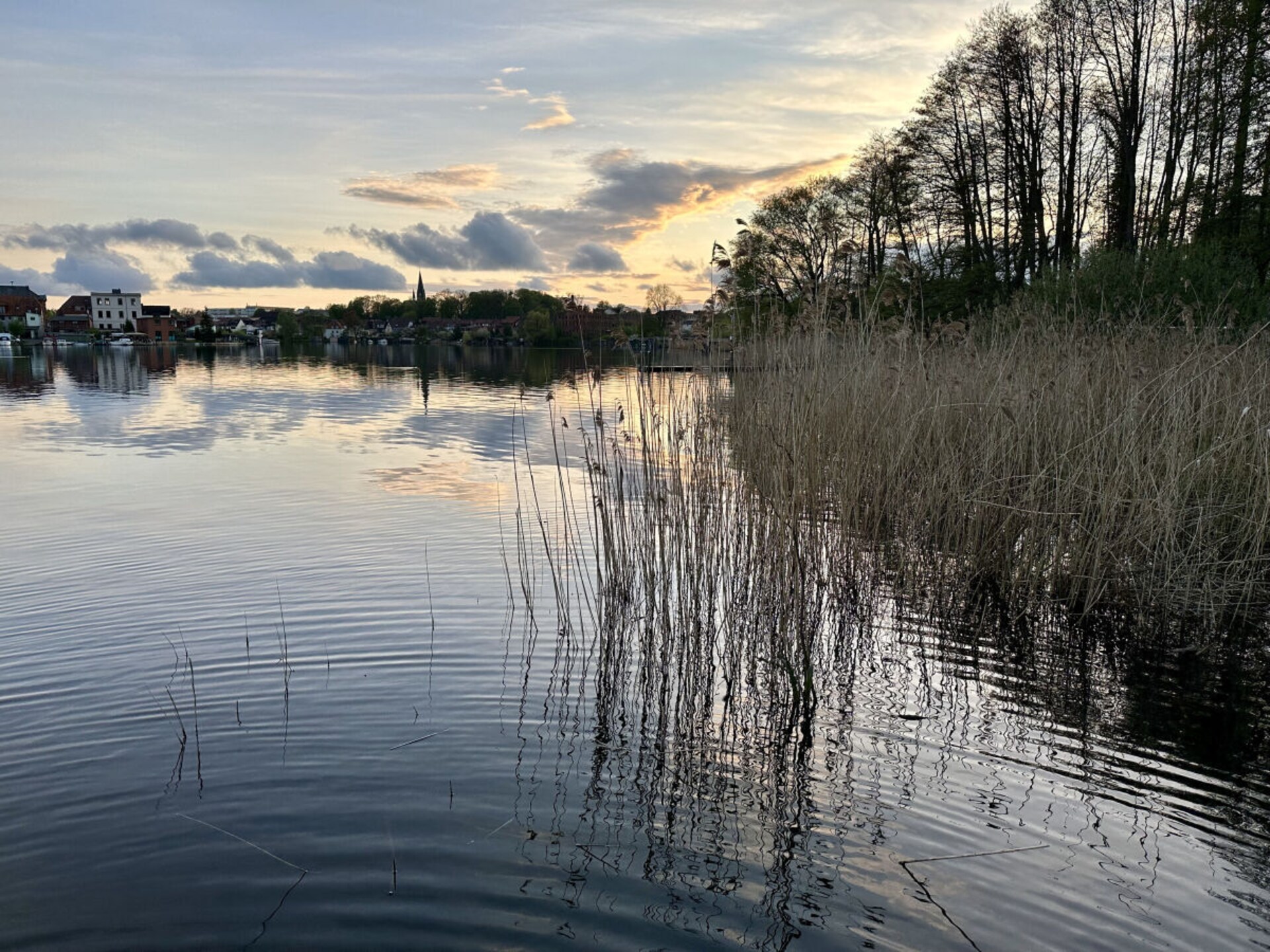 185569 - foto 35