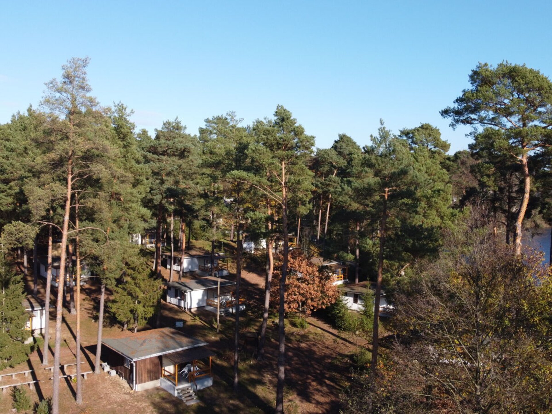 54546 - foto 1