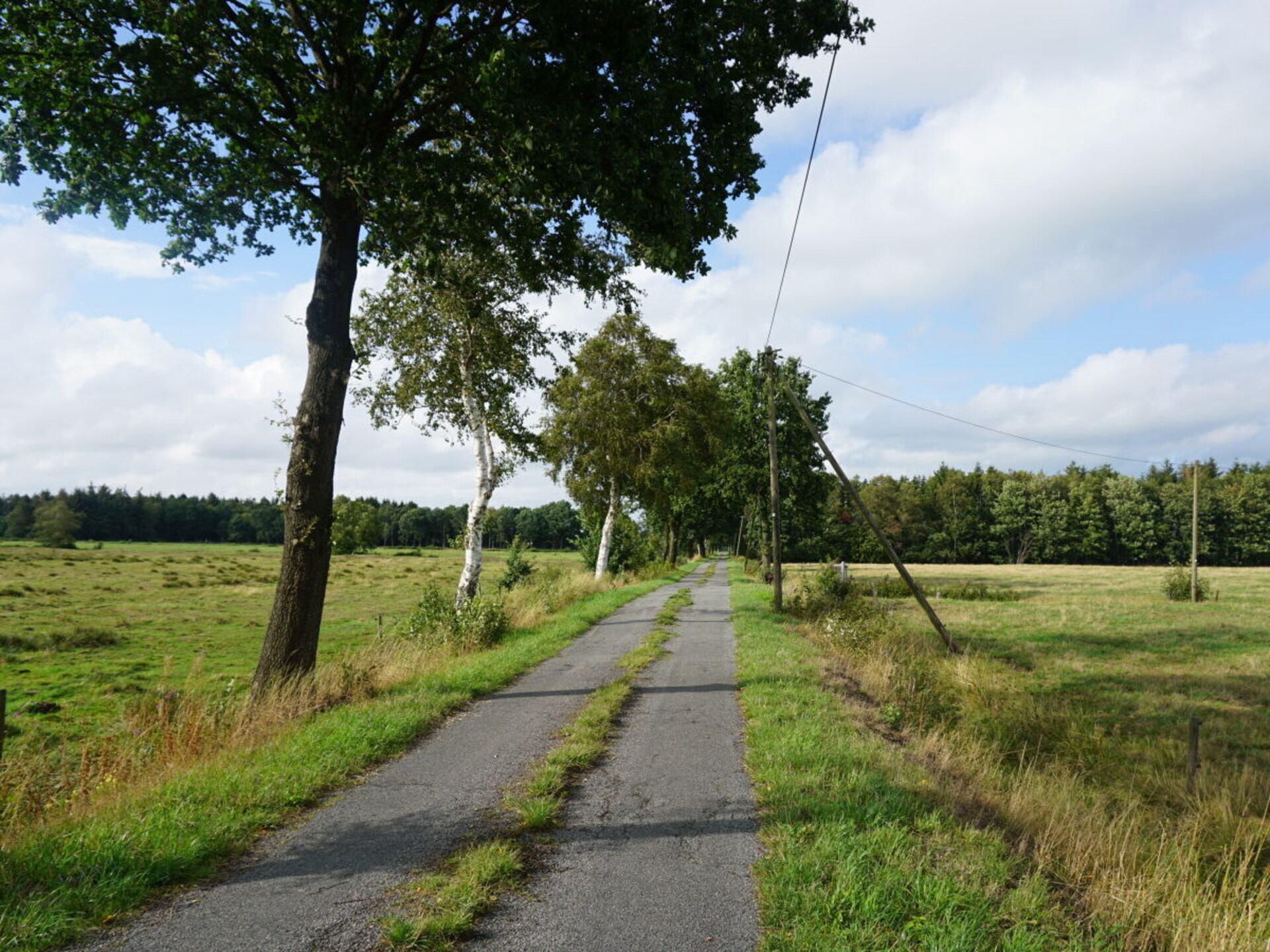 320647 - foto 27
