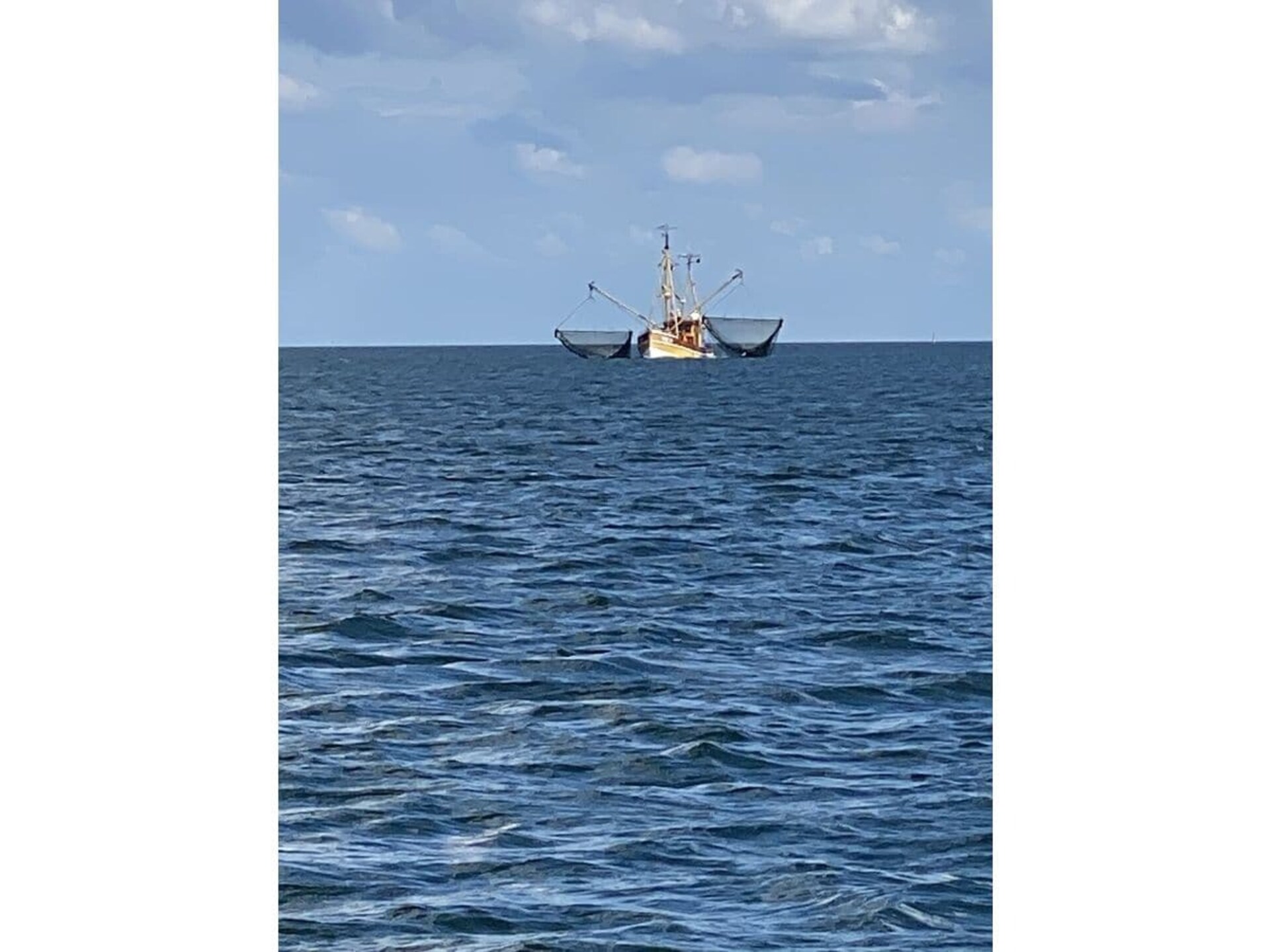 89753 - foto 15