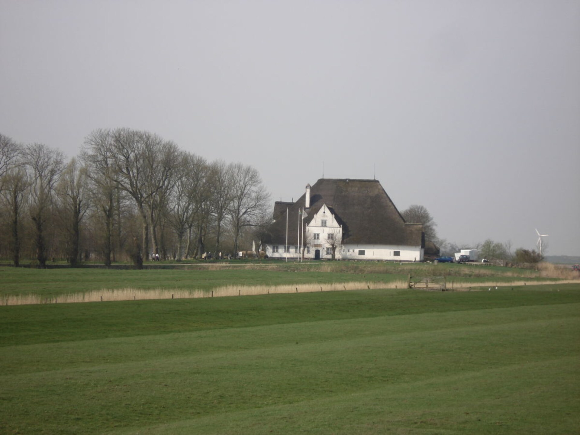 51144 - foto 18