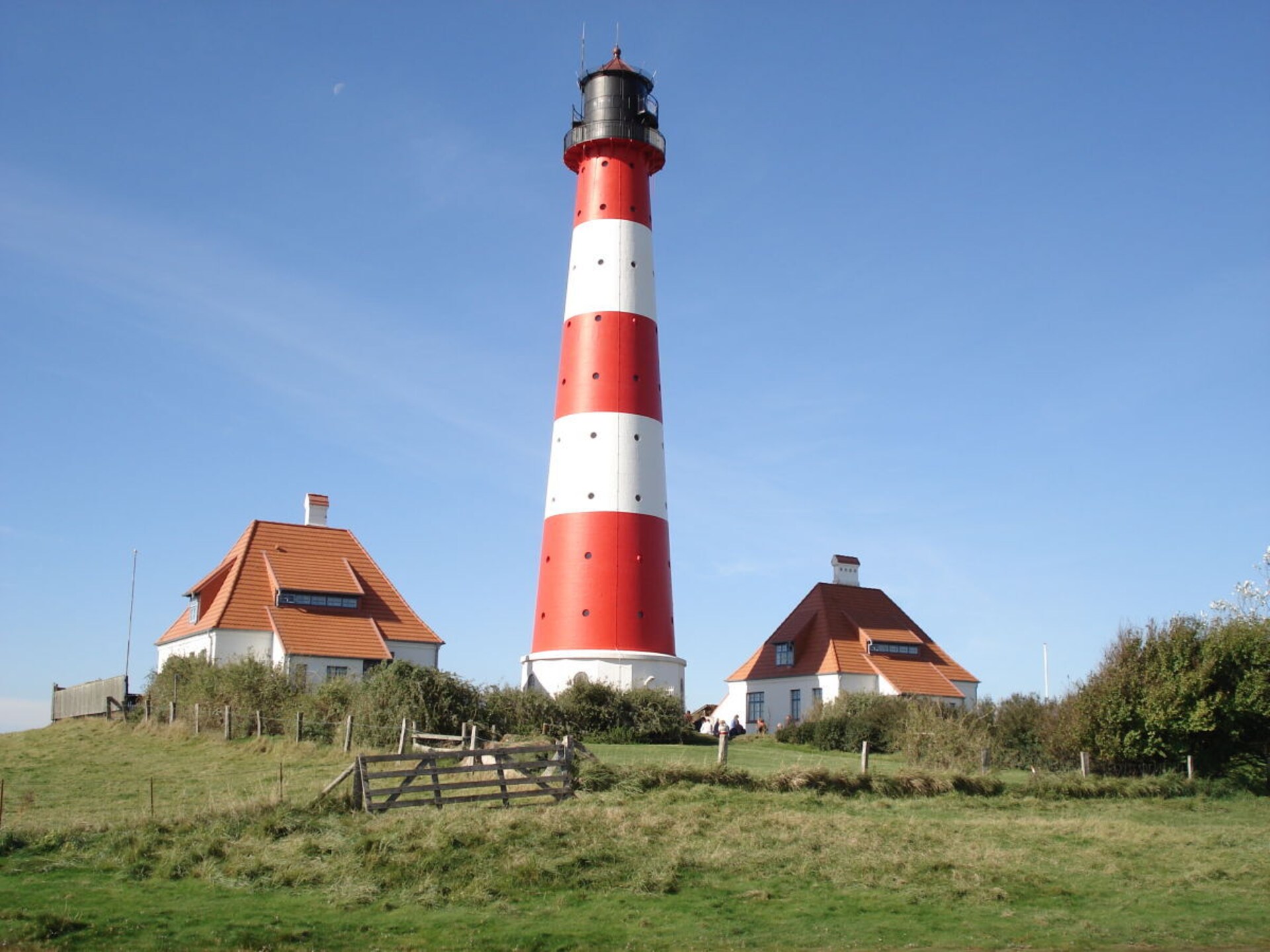 51144 - foto 19