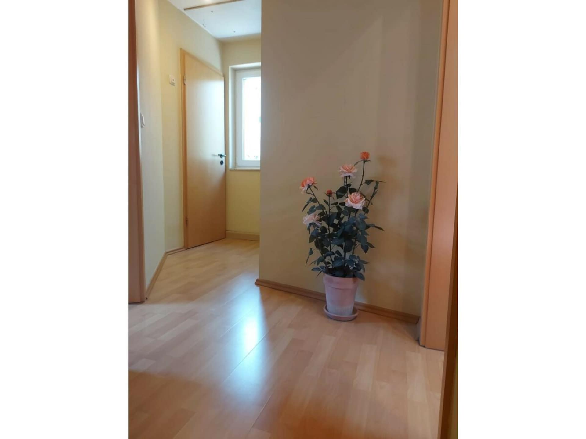 484345 - foto 21